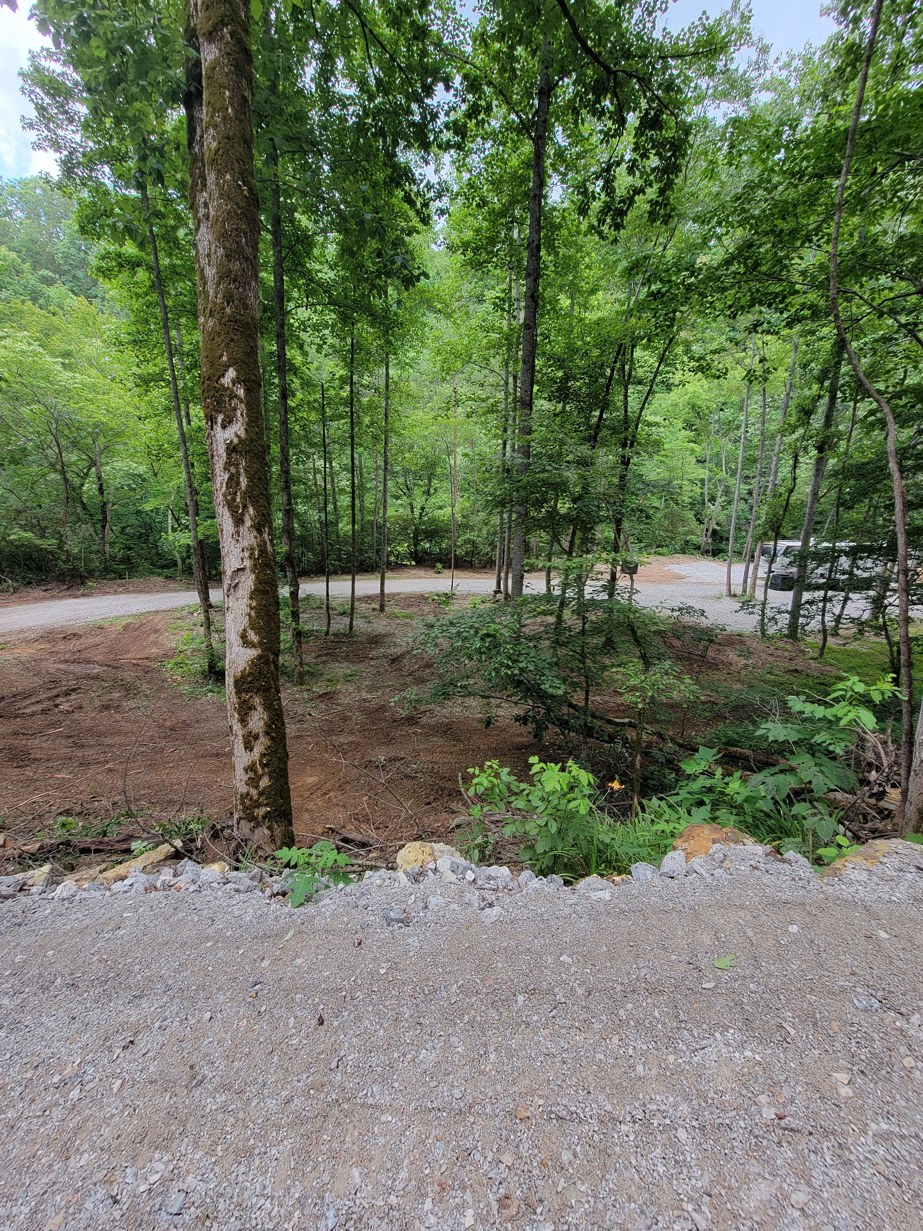  for Z's Land Management & Forestry Mulching in Smithville, TN