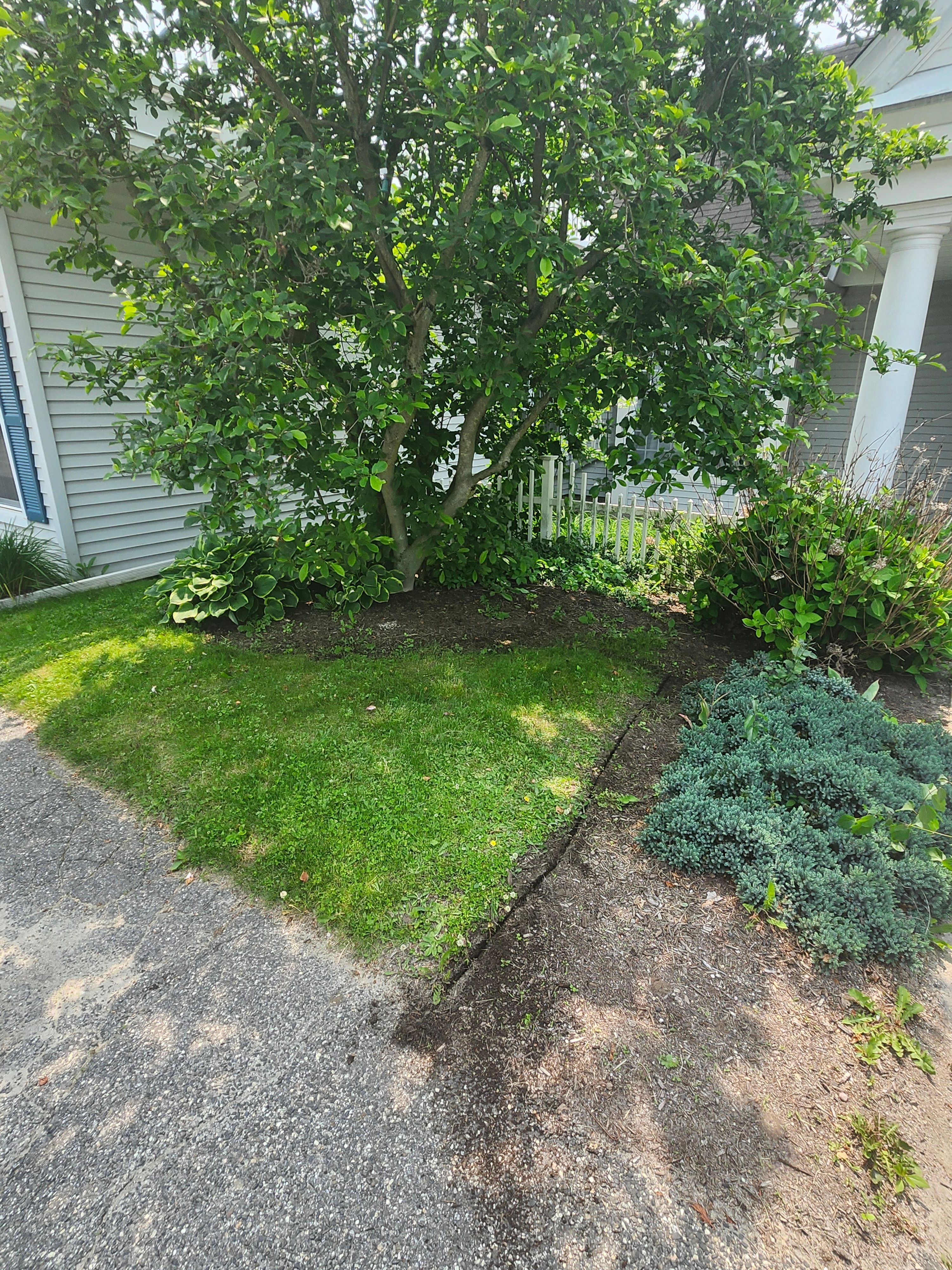 Muclhing & Weeding for Landscape Innovations LLC in Torrington, CT
