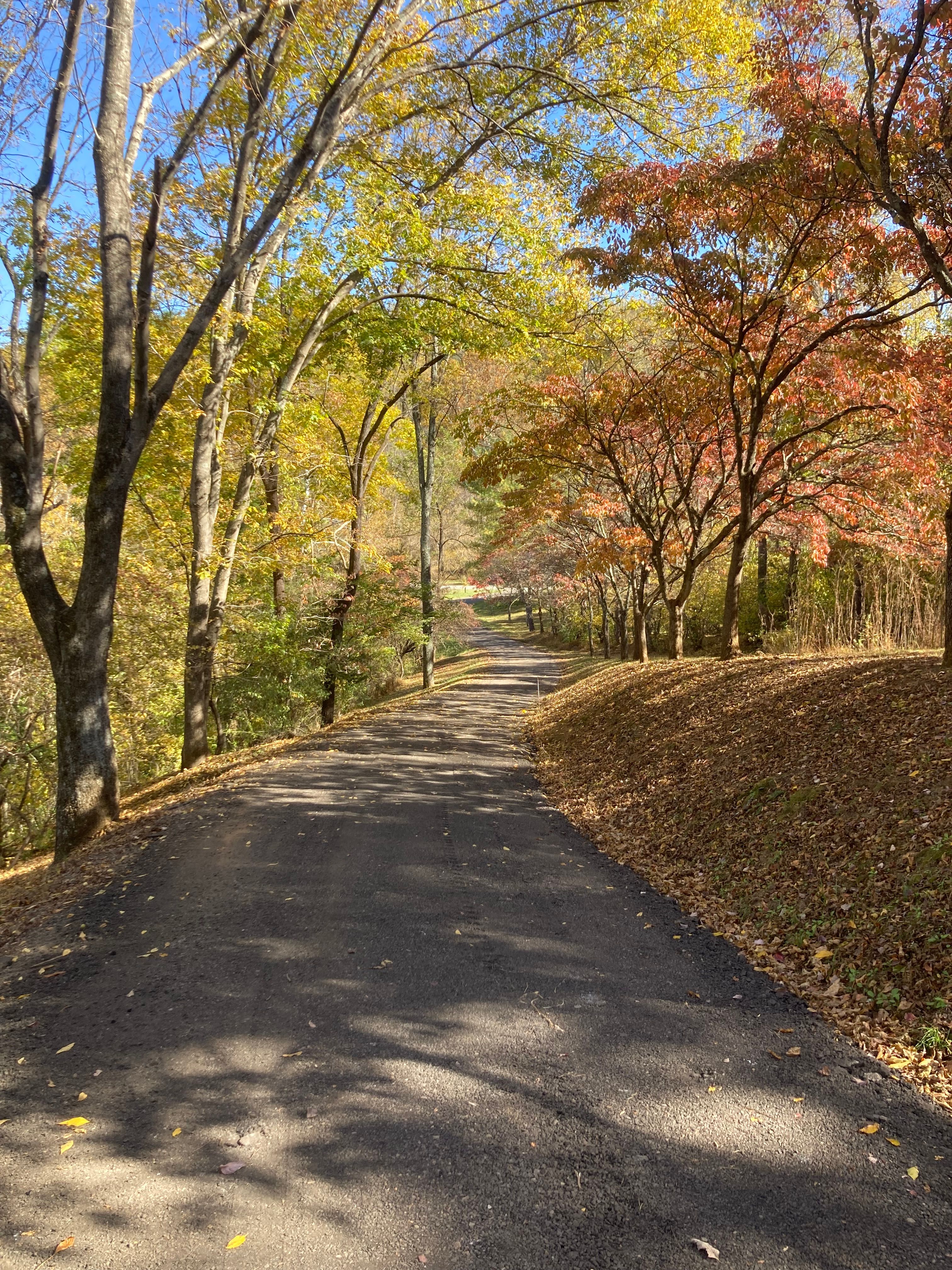  for 9999 Building and Renovation LLC in Warrenton, VA