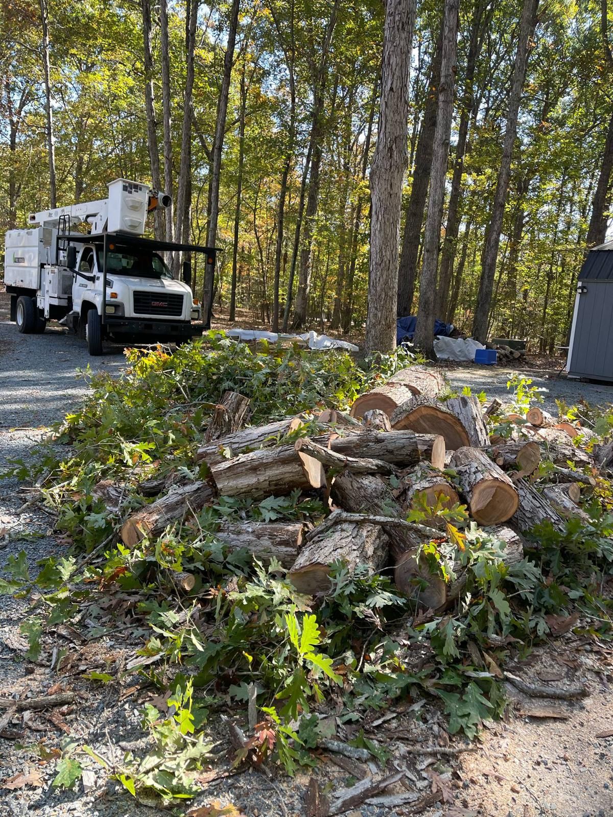  for K-2 Tree Service in Shelby, NC