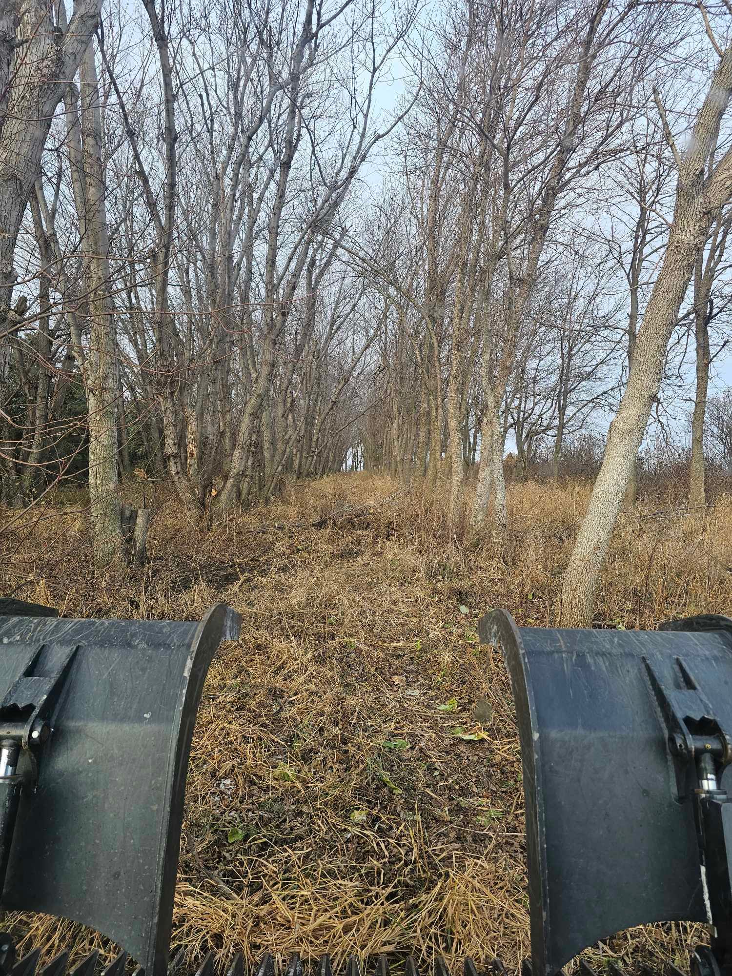  for Tree Tech in Luverne, MN