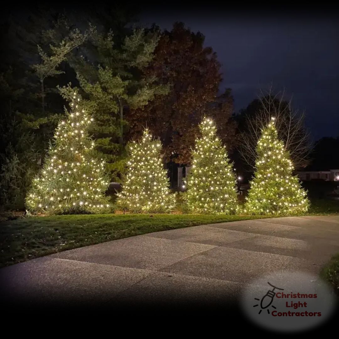 Light Installation for Christmas Light Installers in Indianapolis, IN