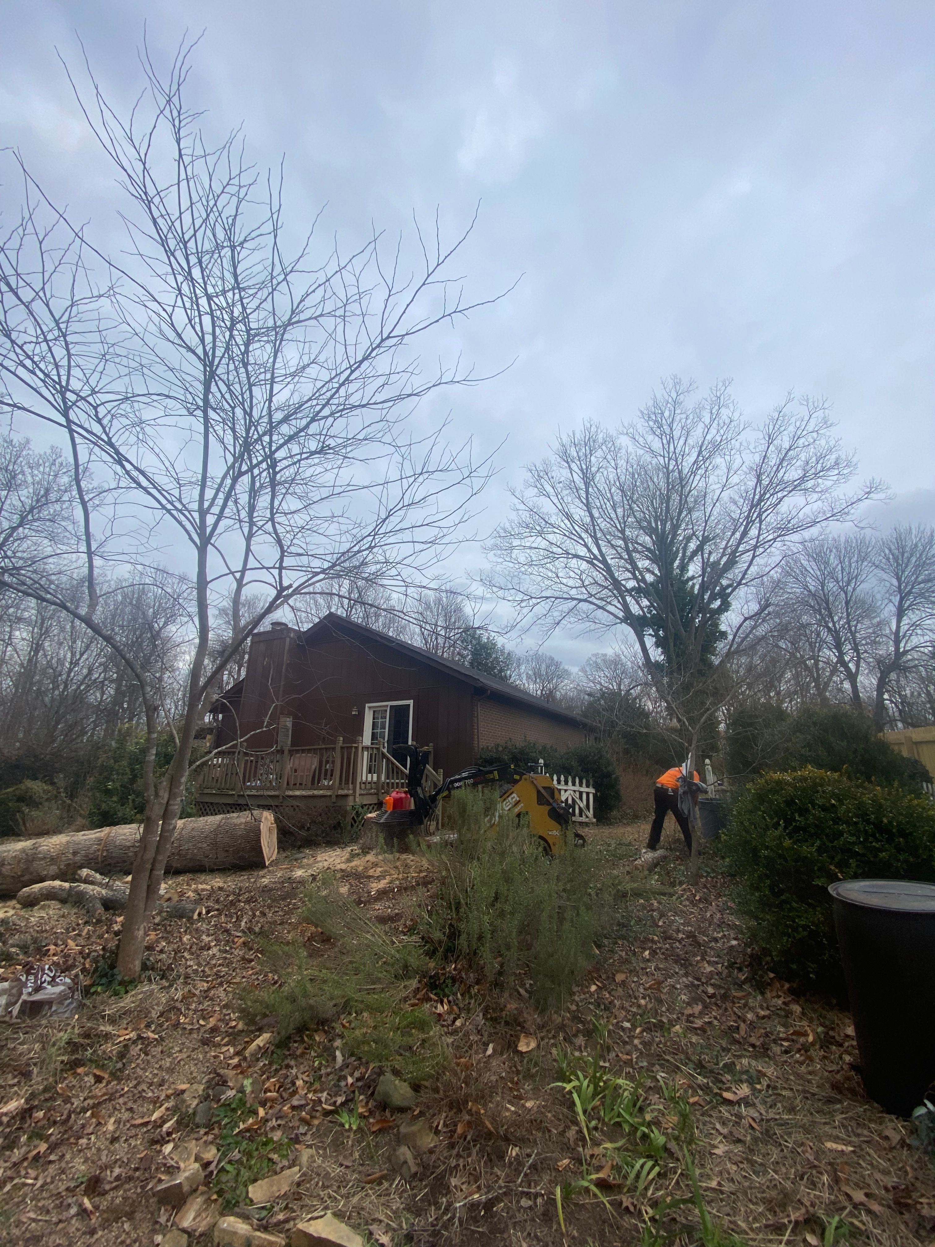 Tree Removal for Diversified Tree Company in Trinity, NC
