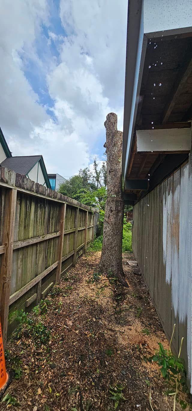  for Servin's Tree Care  in Houston, TX