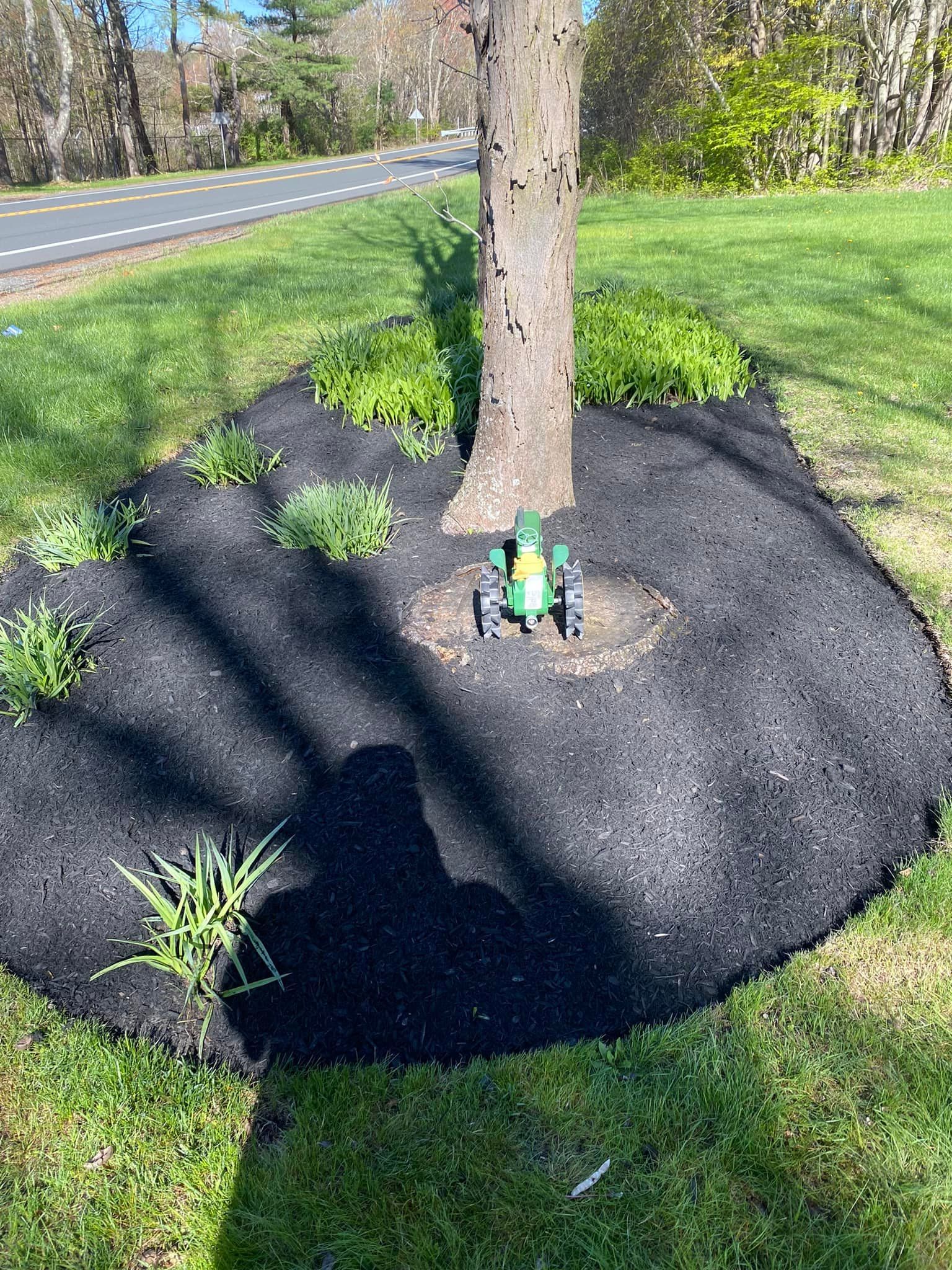  for Pronovost Landscaping & Irrigation in Palmer, MA