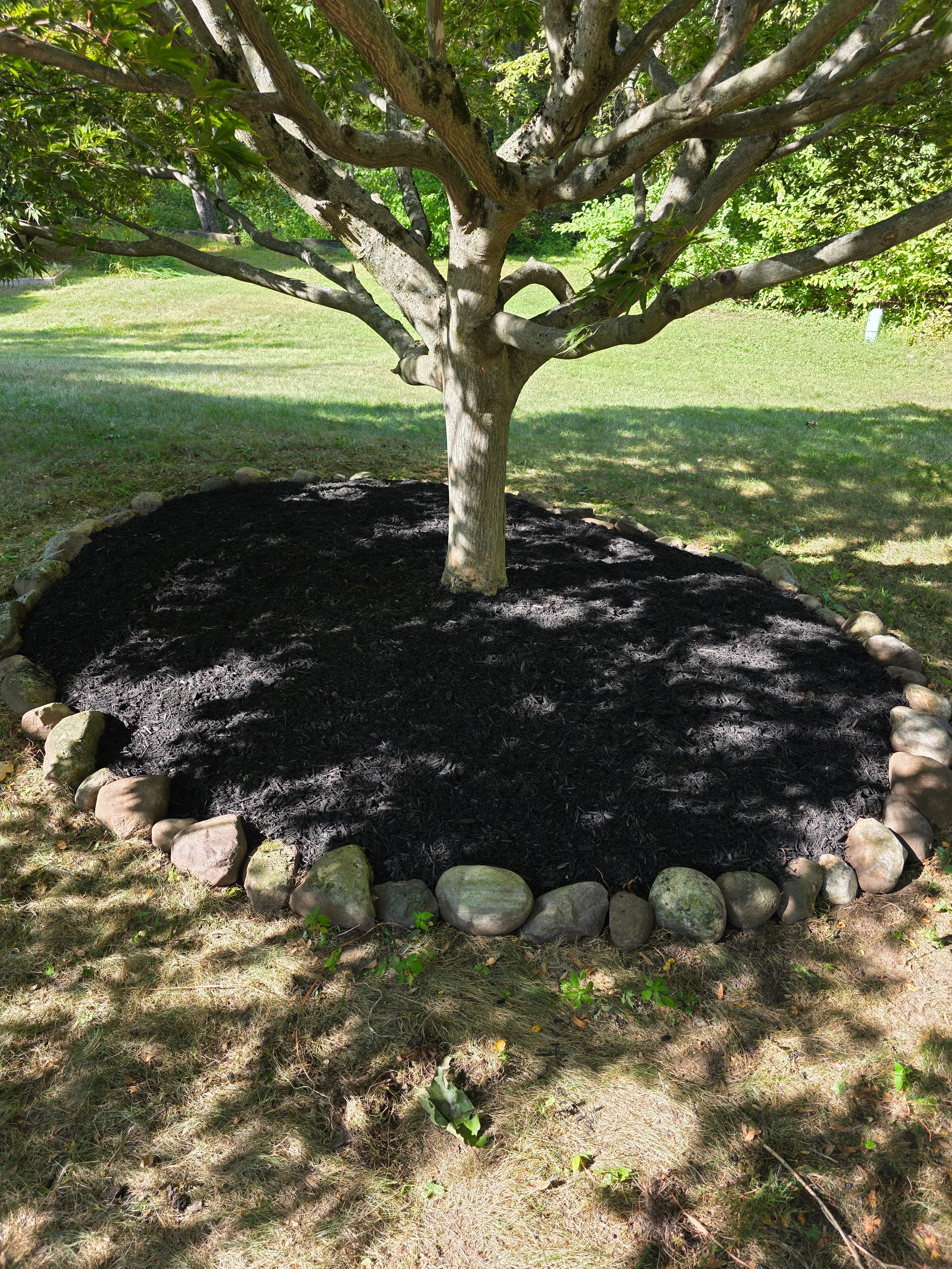  for Sweet Scapes in Ballston Spa, NY