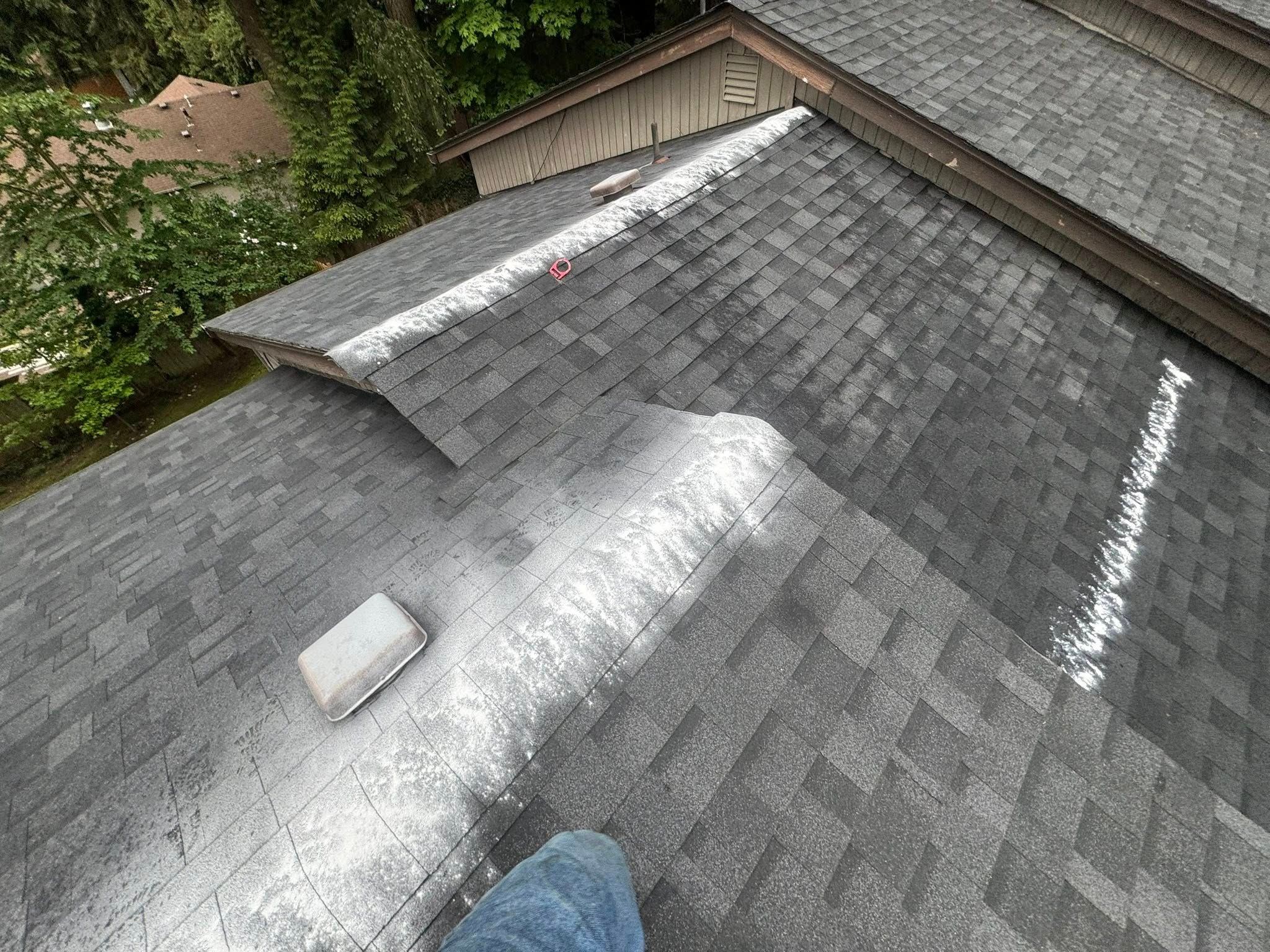 All Photos for Teo’s Property Maintenance and Solutions in Redmond, WA