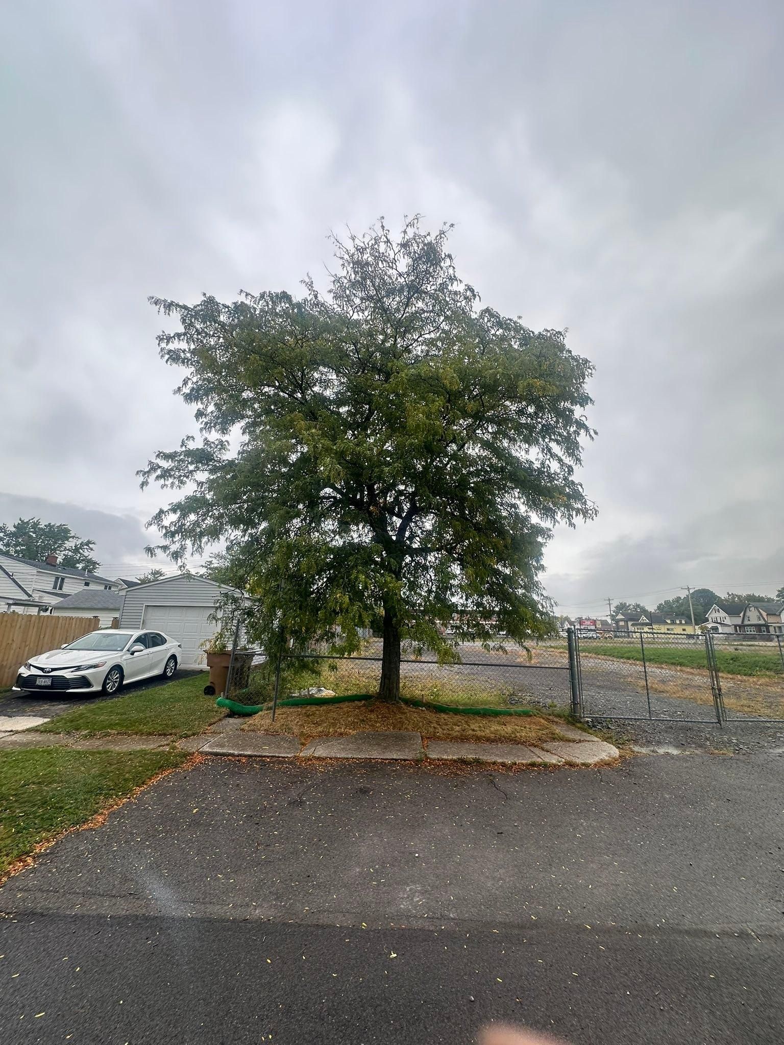  for Hauser's Complete Care INC in Lancaster, NY