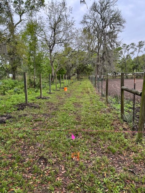 Fencing  for Divine Construction Services in Brazoria County, TX