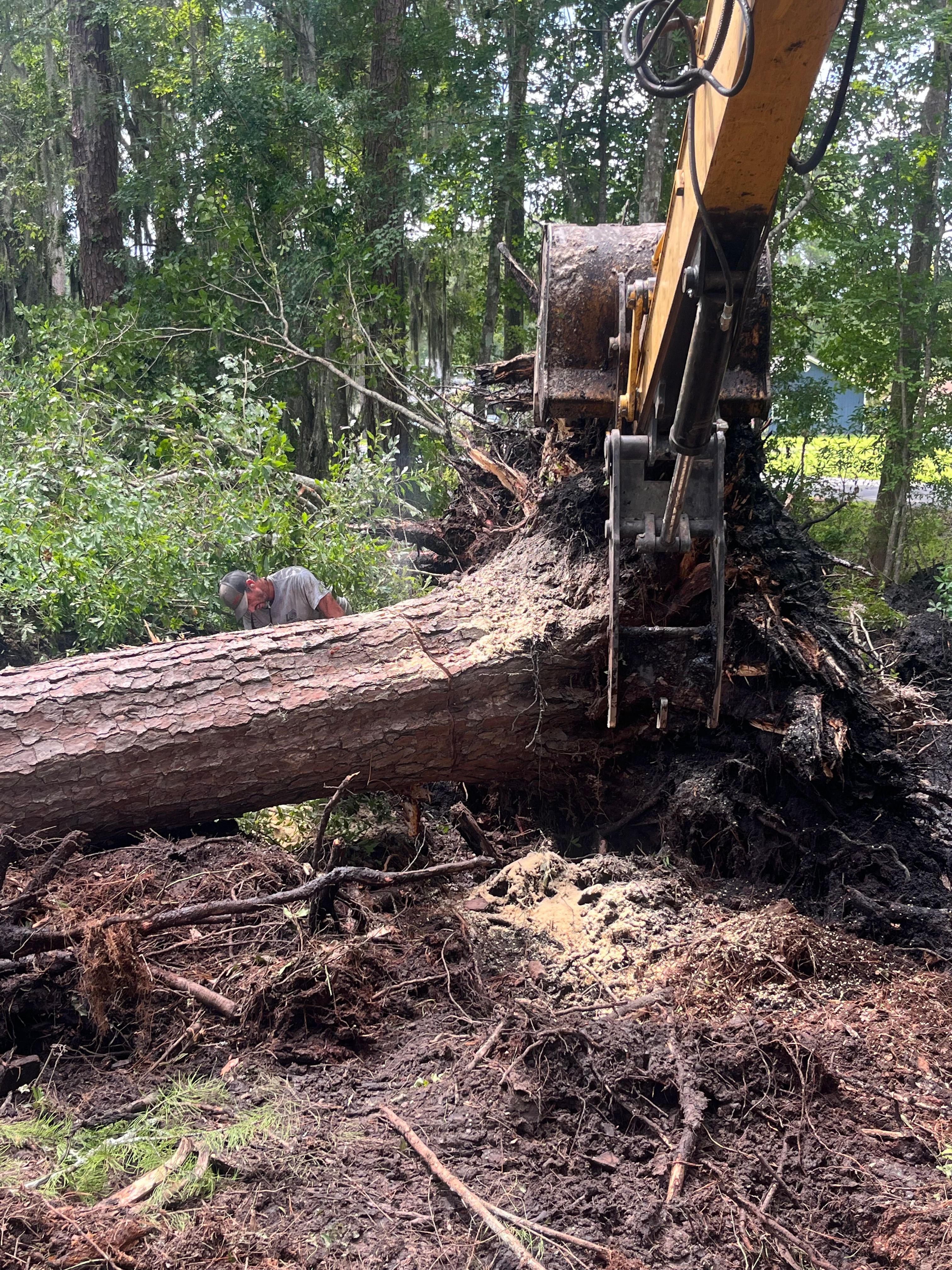 All Photos for Diamond B Earthworks in Camden County, GA