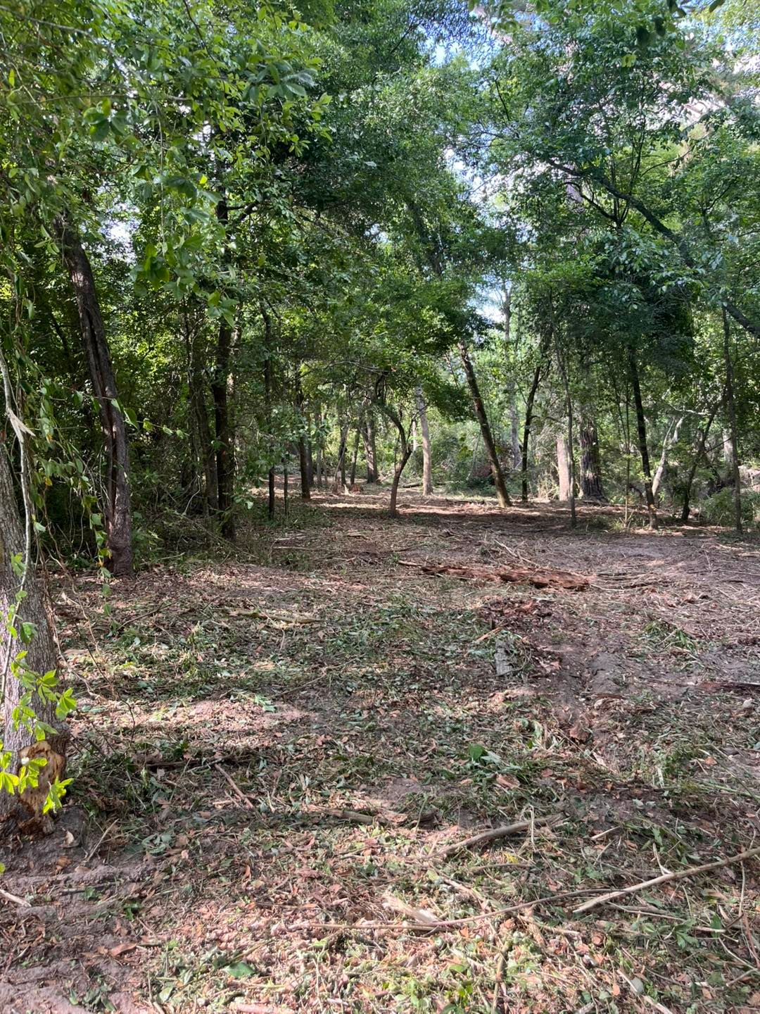  for Pinewood Land Management LLC in Nashville, GA