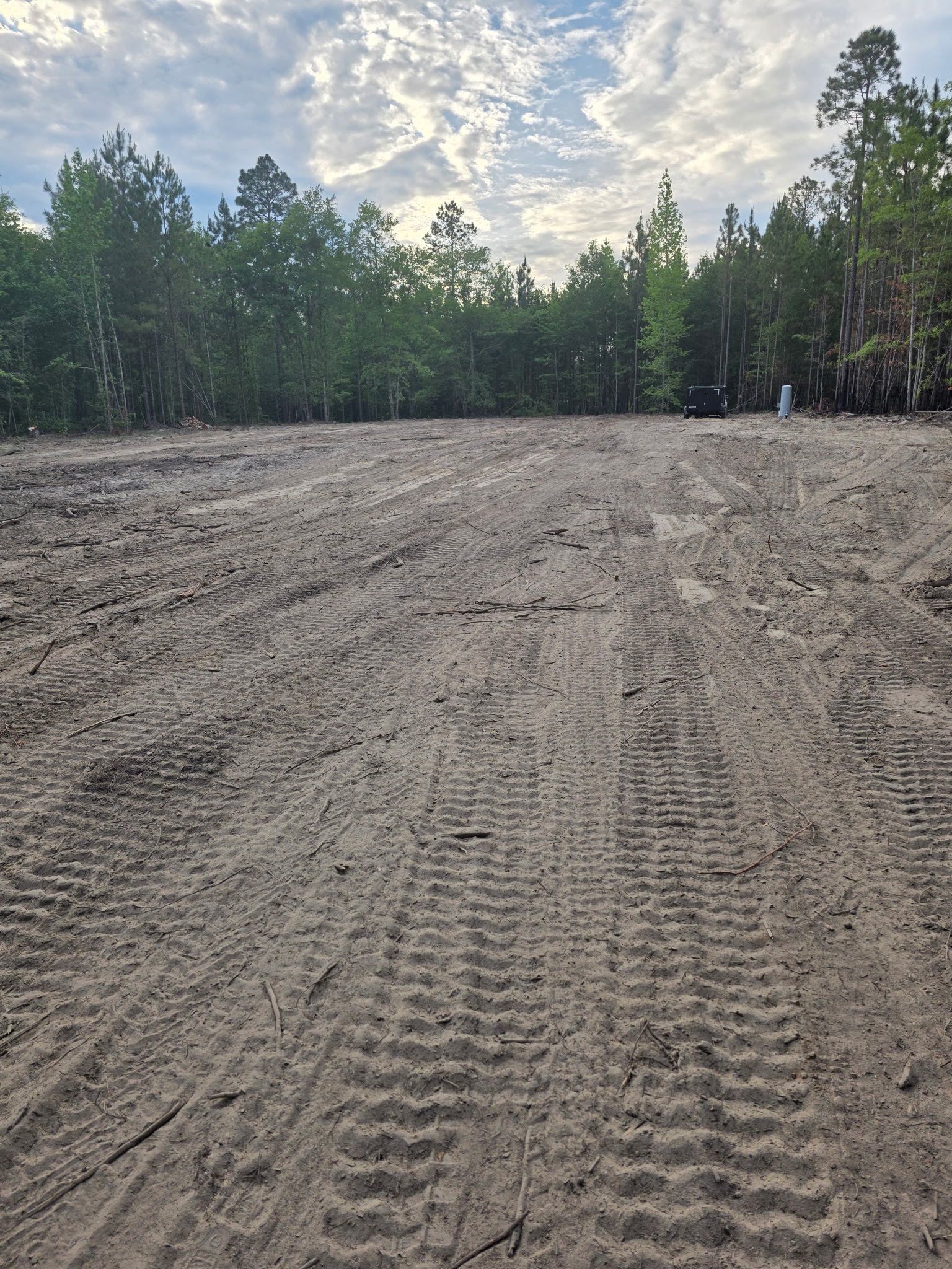Tree Removal for Page Outdoor Services in Wrightsville, GA