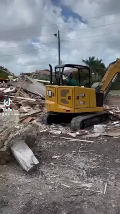  for Nurry Tree Services in Miami, FL