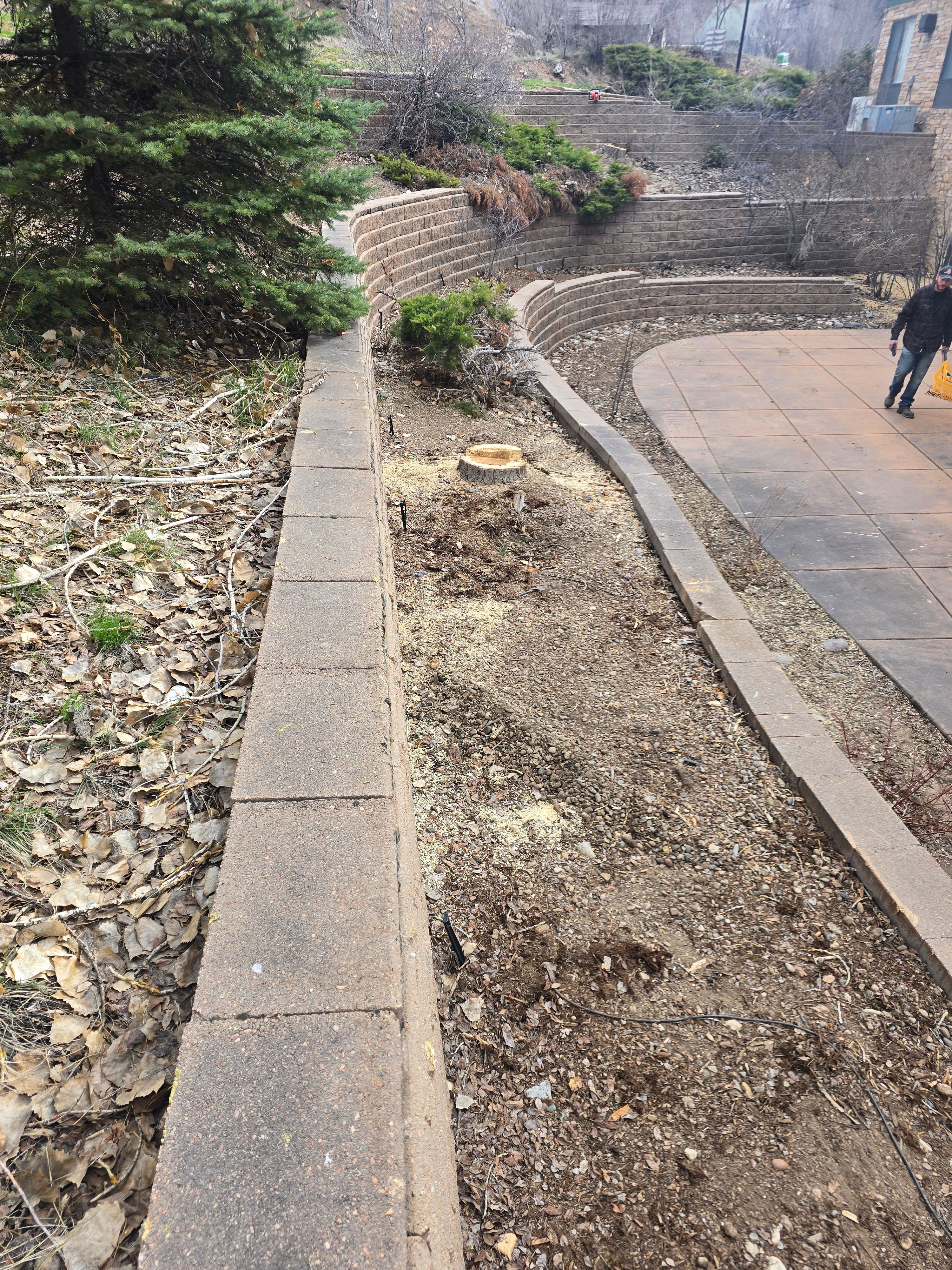 All Photos for LRS: Landscape, Rescue, Snow in Silt, CO