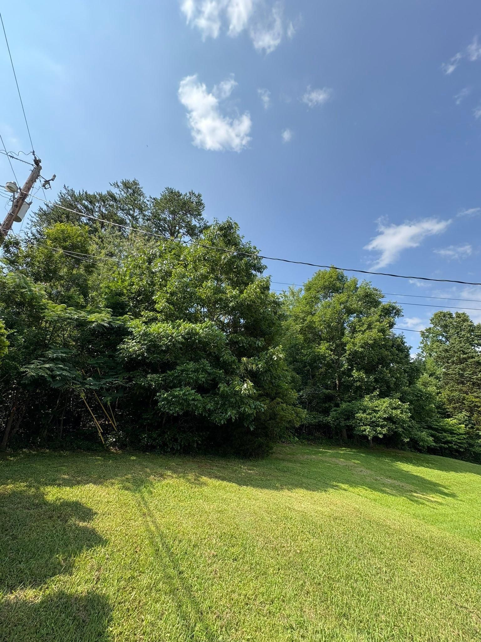  for Phillips Construction and Excavating in Seymour, TN
