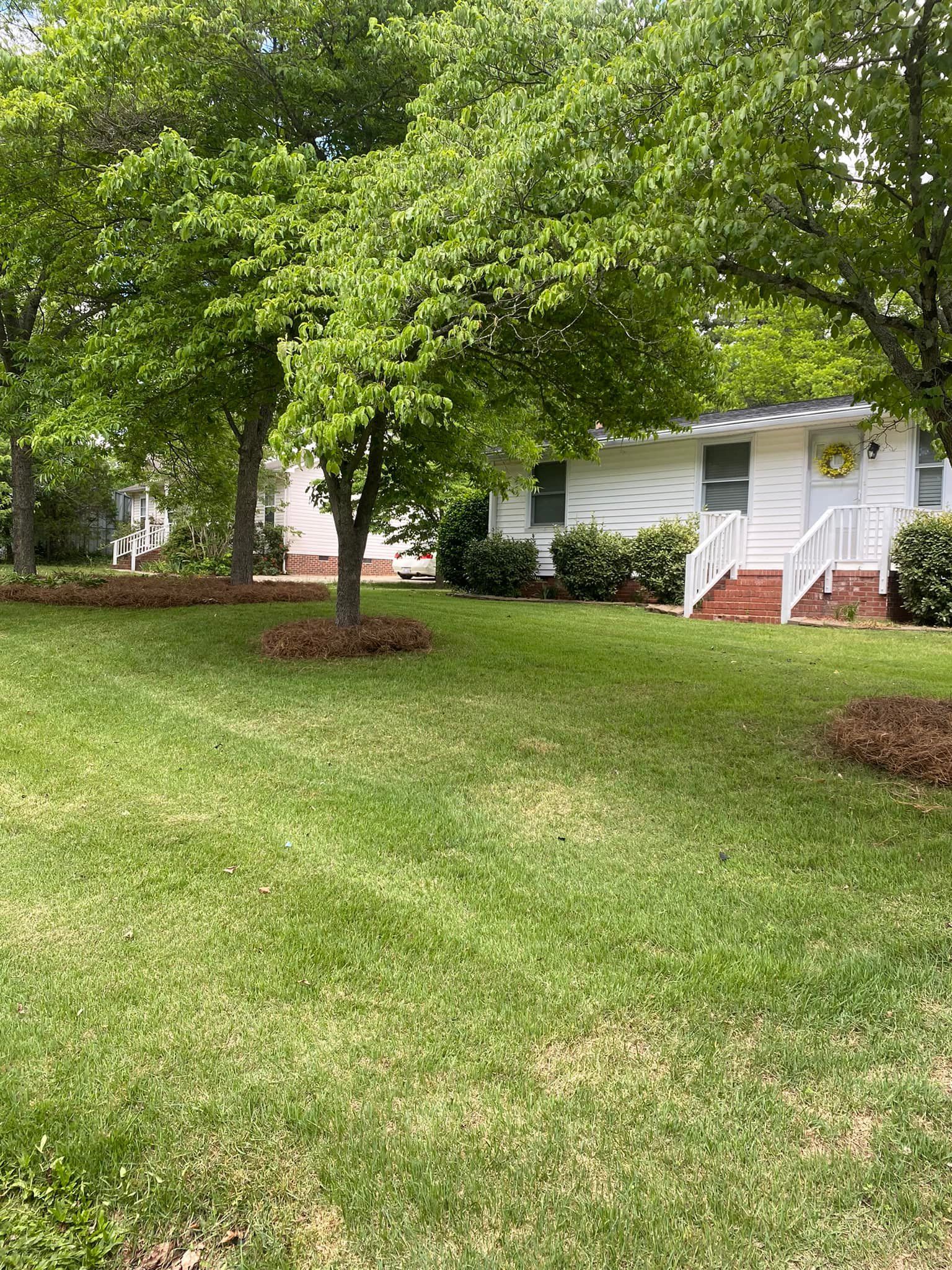 All Photos for JMLP Lawn & Landscaping in Charlotte, NC