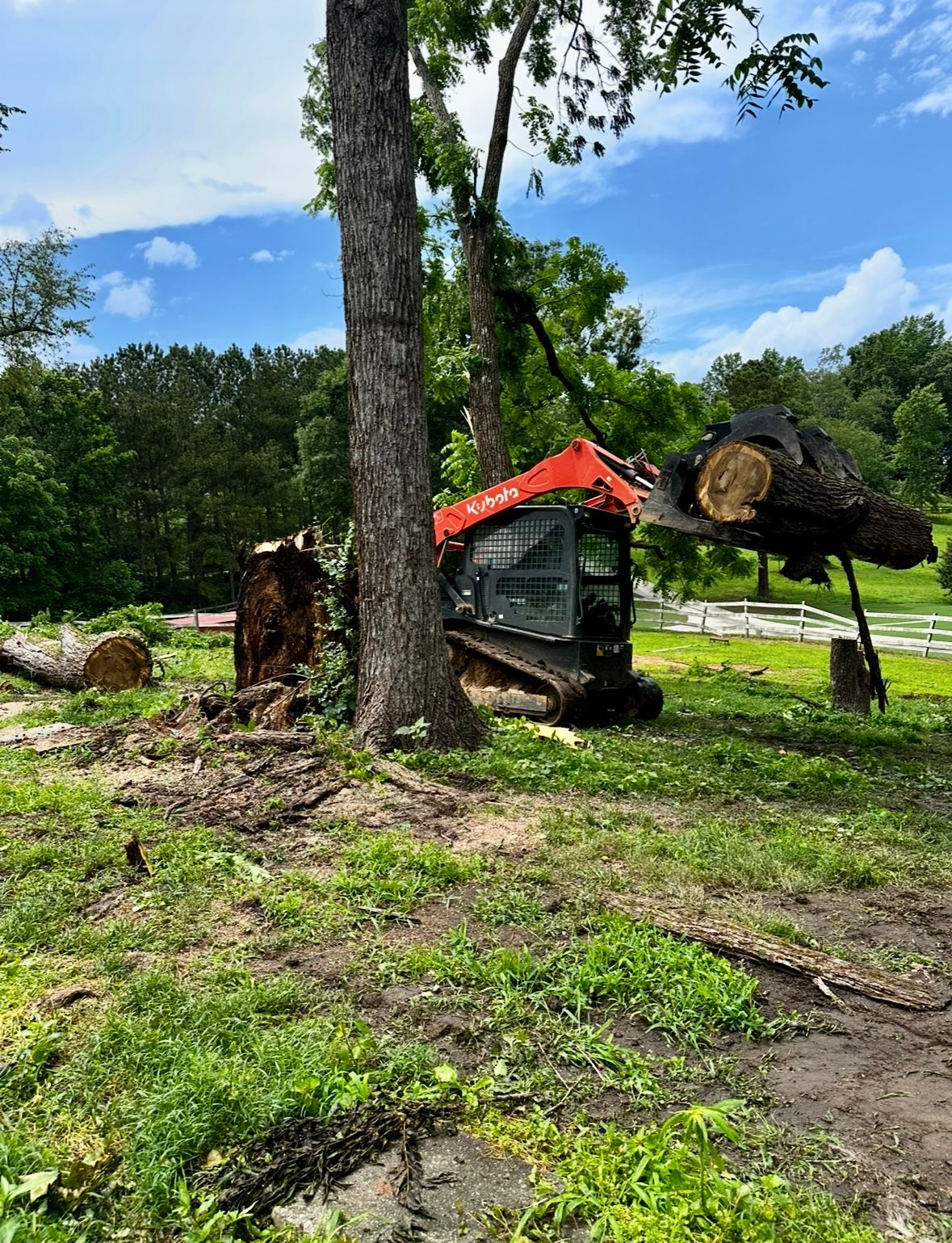  for Clear Tree Land Solutions in Dawson County, GA