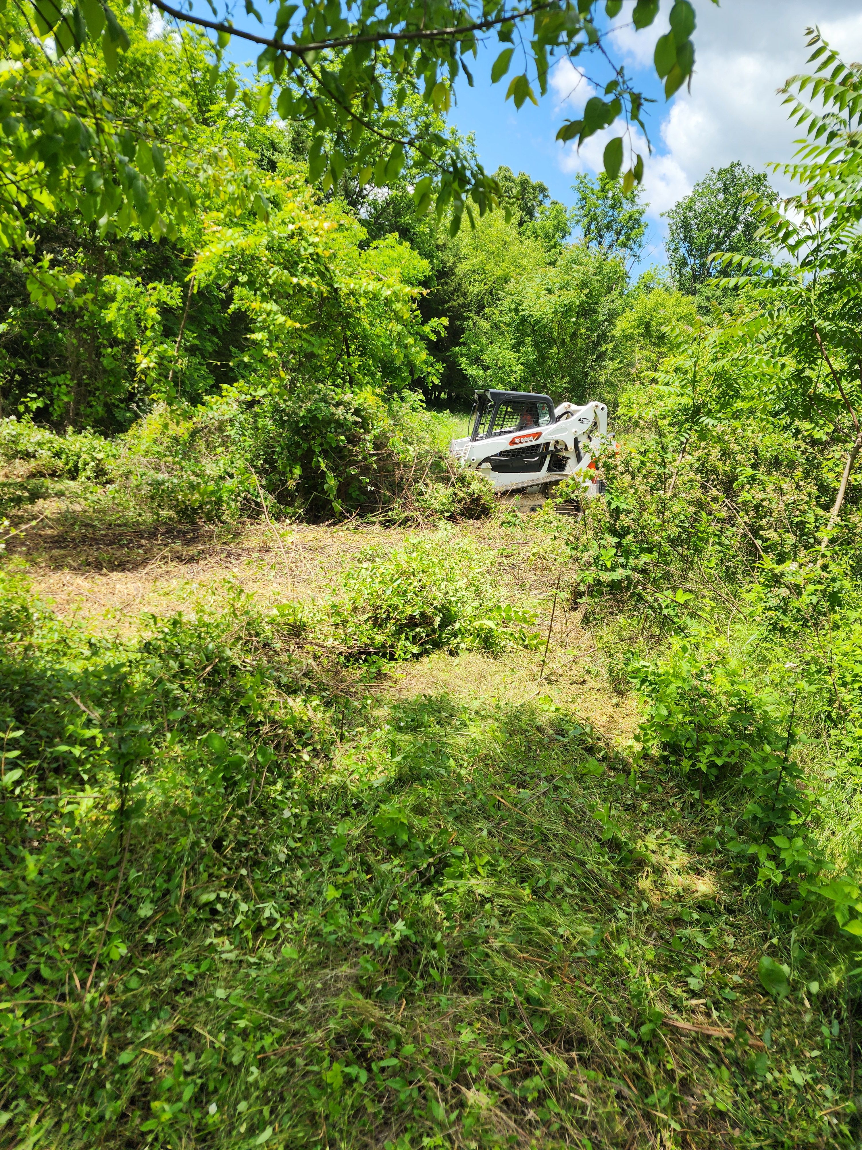  for Williams Lawn & Land in Sharps Chapel, TN