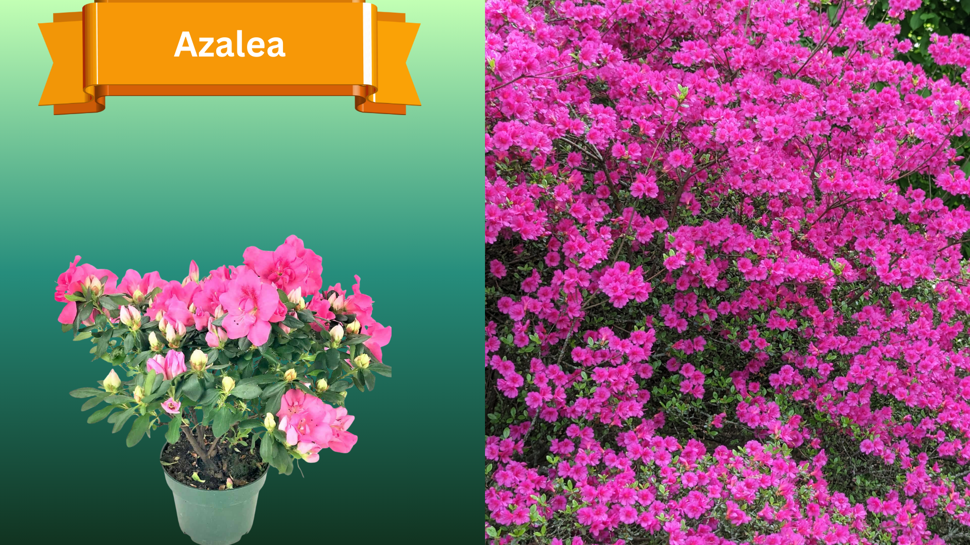  for R.B. & Company in Belleview, FL