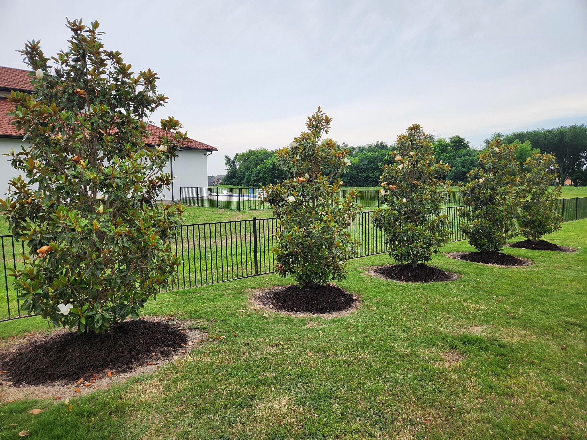  for Lavon Lawn Plus in Lavon, TX