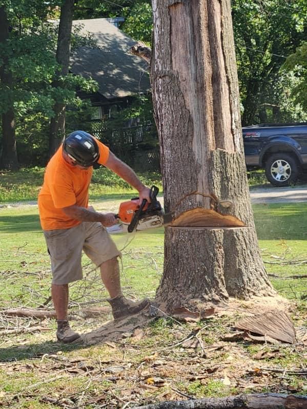  for H n H Tree Service in Taneyville, MO