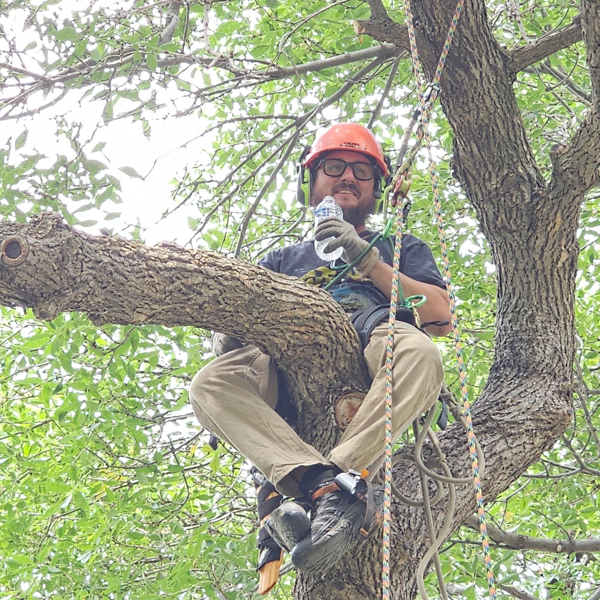  for Two Fellers Tree Service in Buffalo, WY