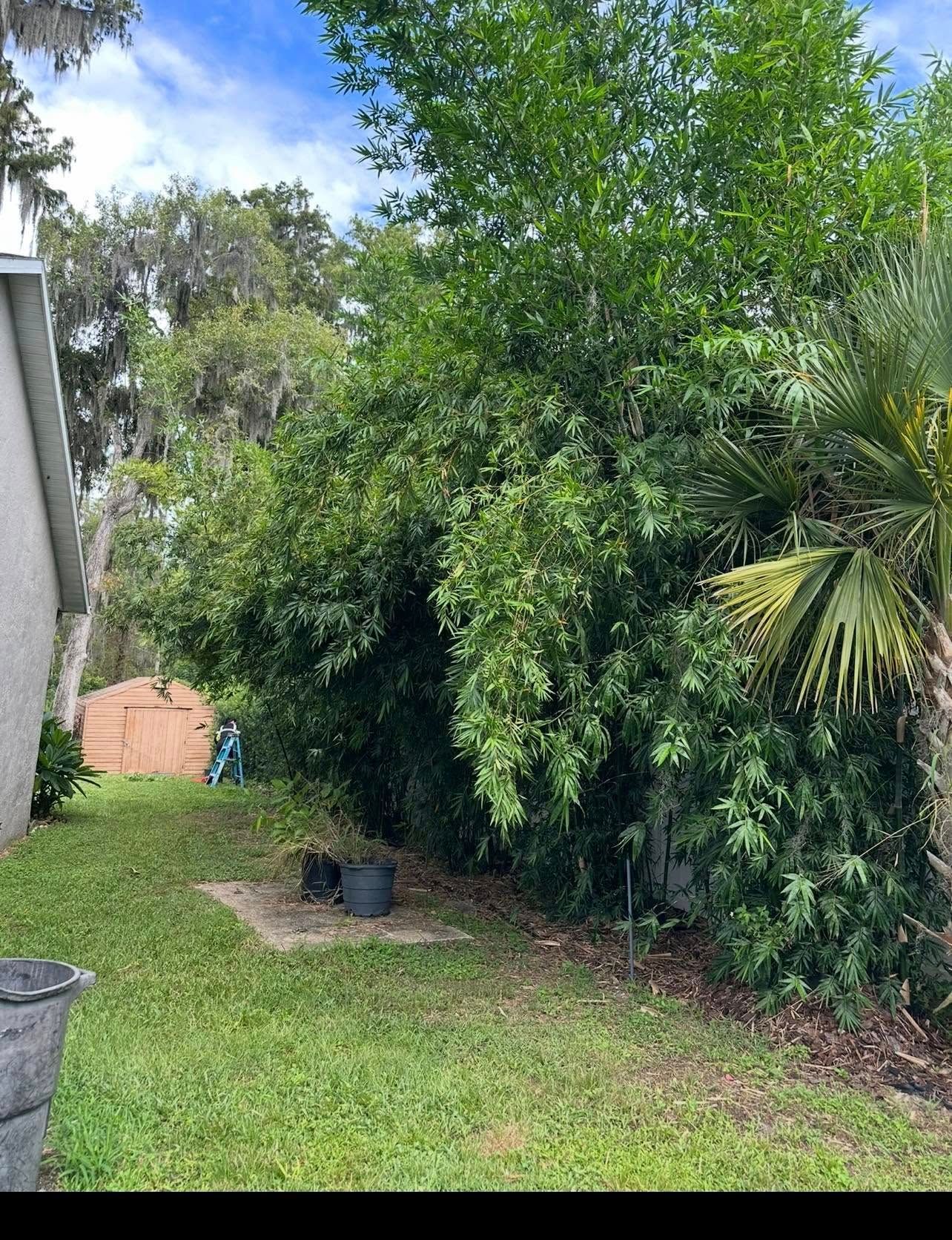 Tree Removal for A-1 Arbor Tech in Groveland, FL