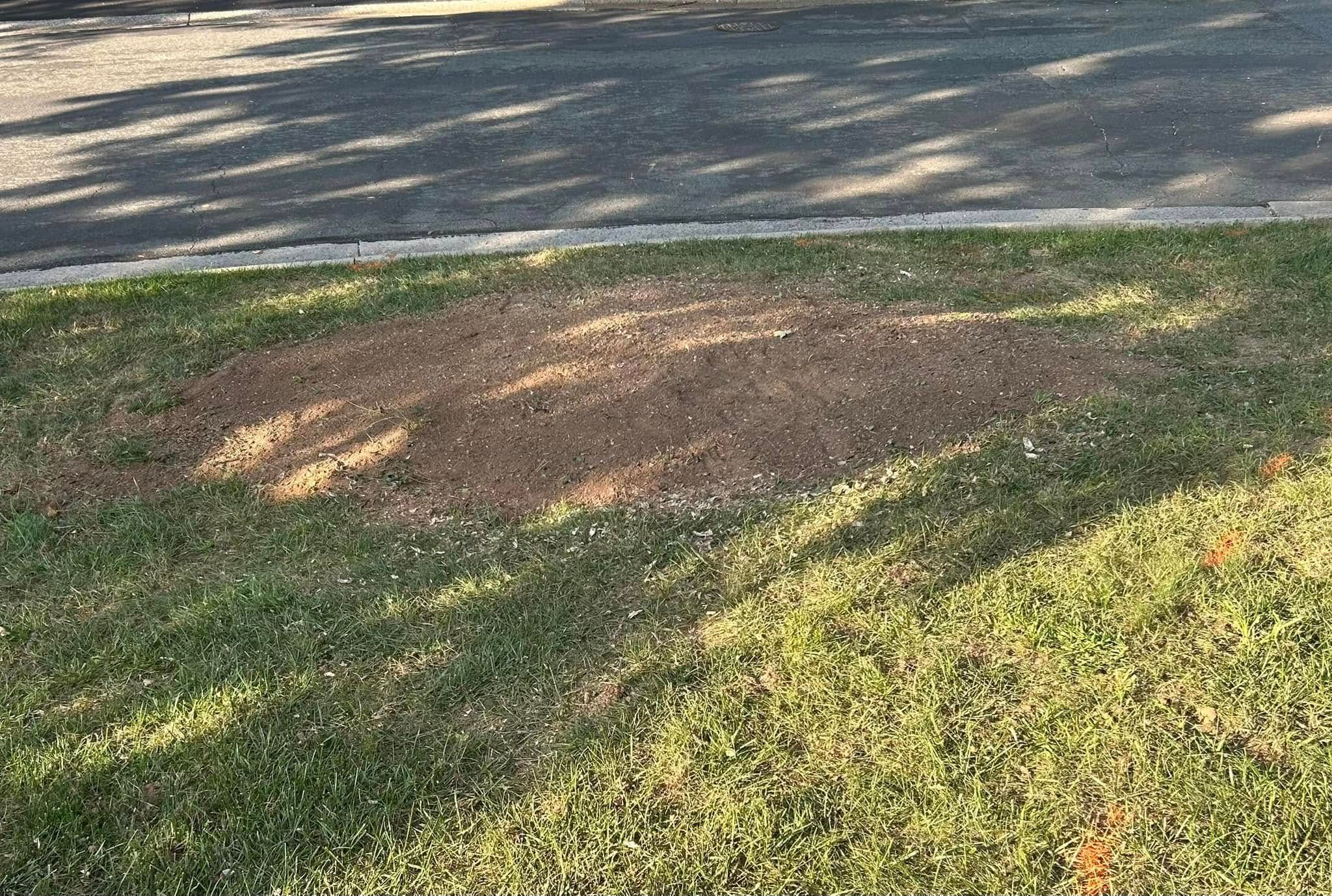 Tree Removal for Mad Dust Stump Grinding in Howard County, MD