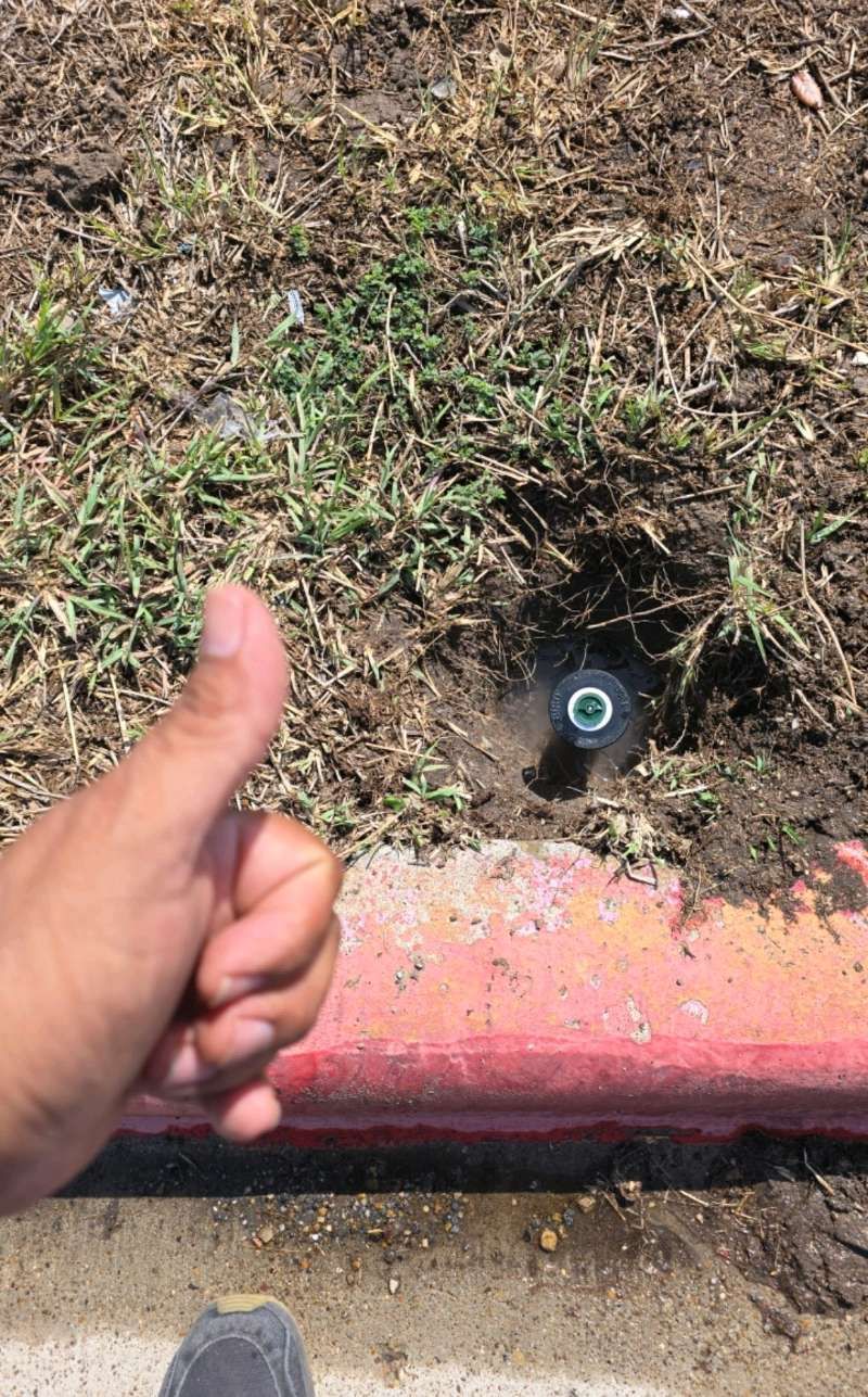  for Pro Lawn Care RGV in McAllen, TX