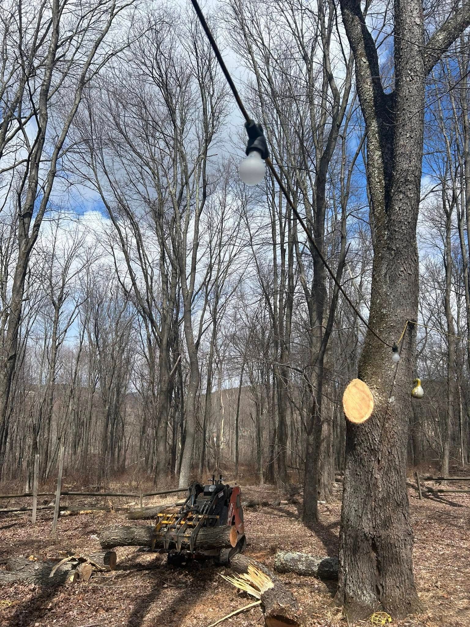  for All American Tree Services LLC in Dallas, PA