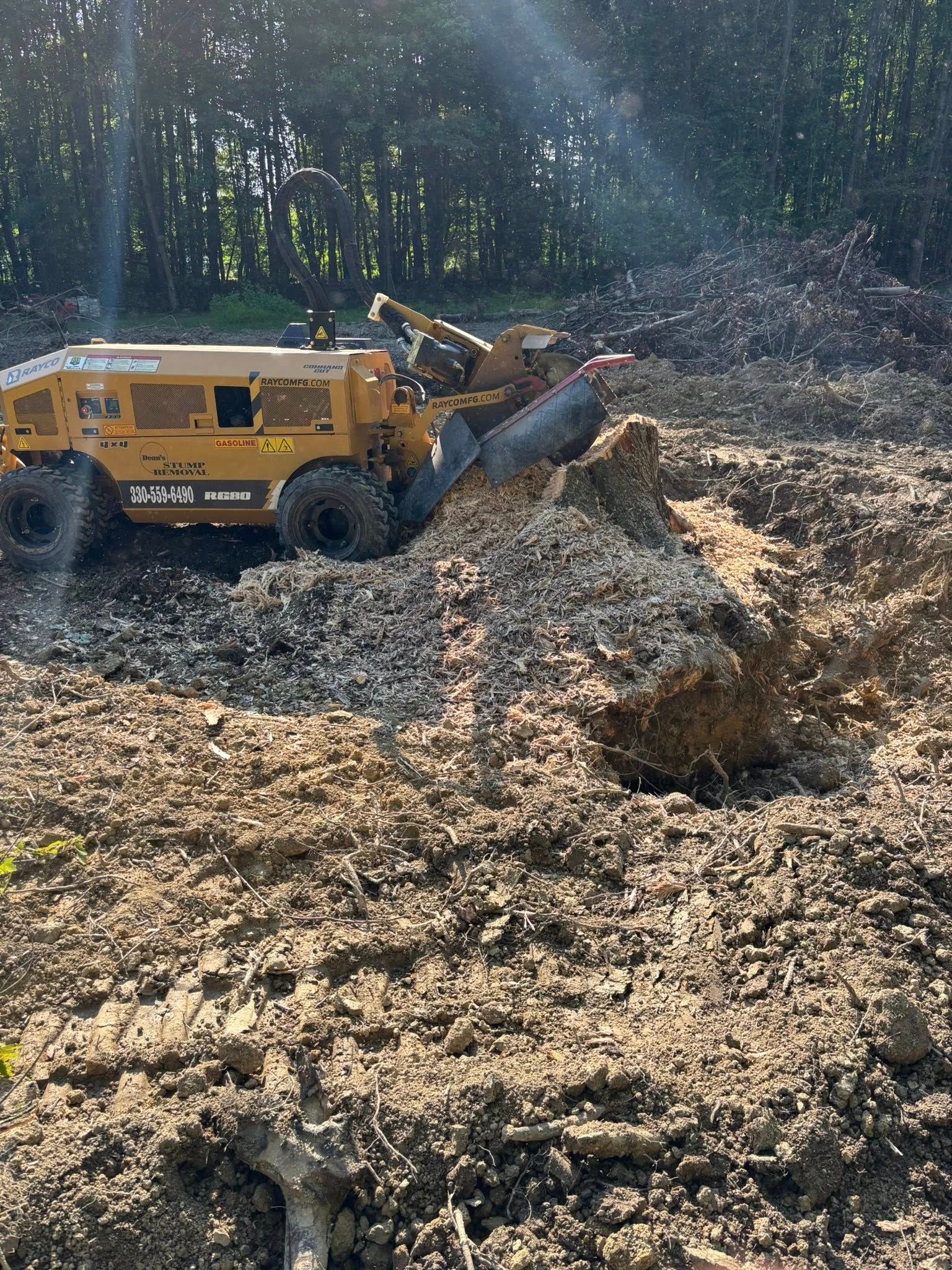  for Dean's Stump Removal in Youngstown, OH