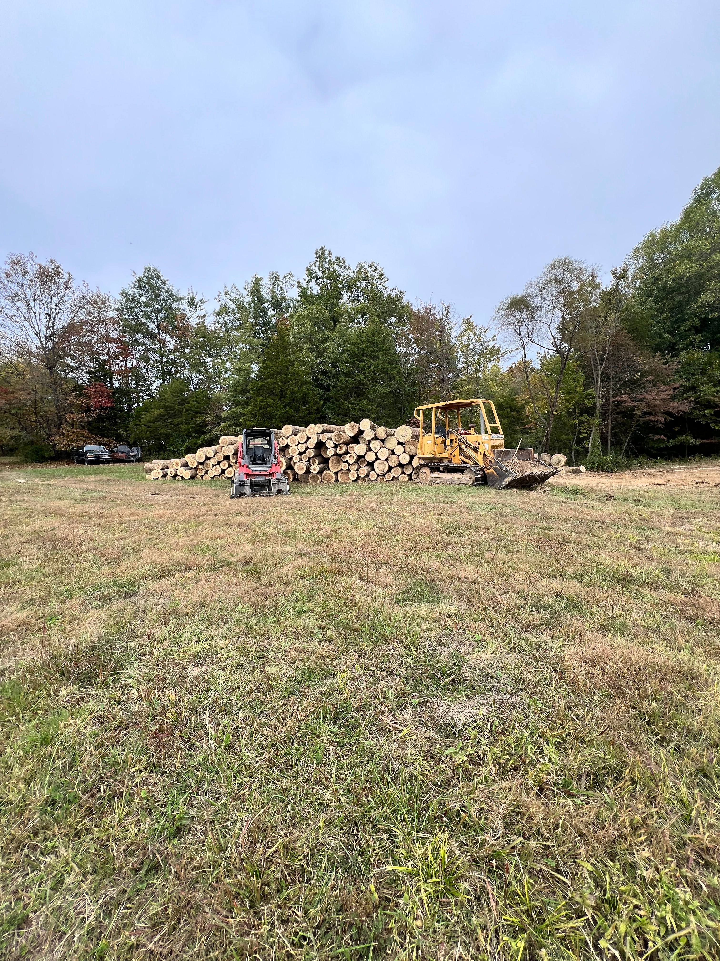 All Photos for Kadin’s Tree Service in North Vernon, IN