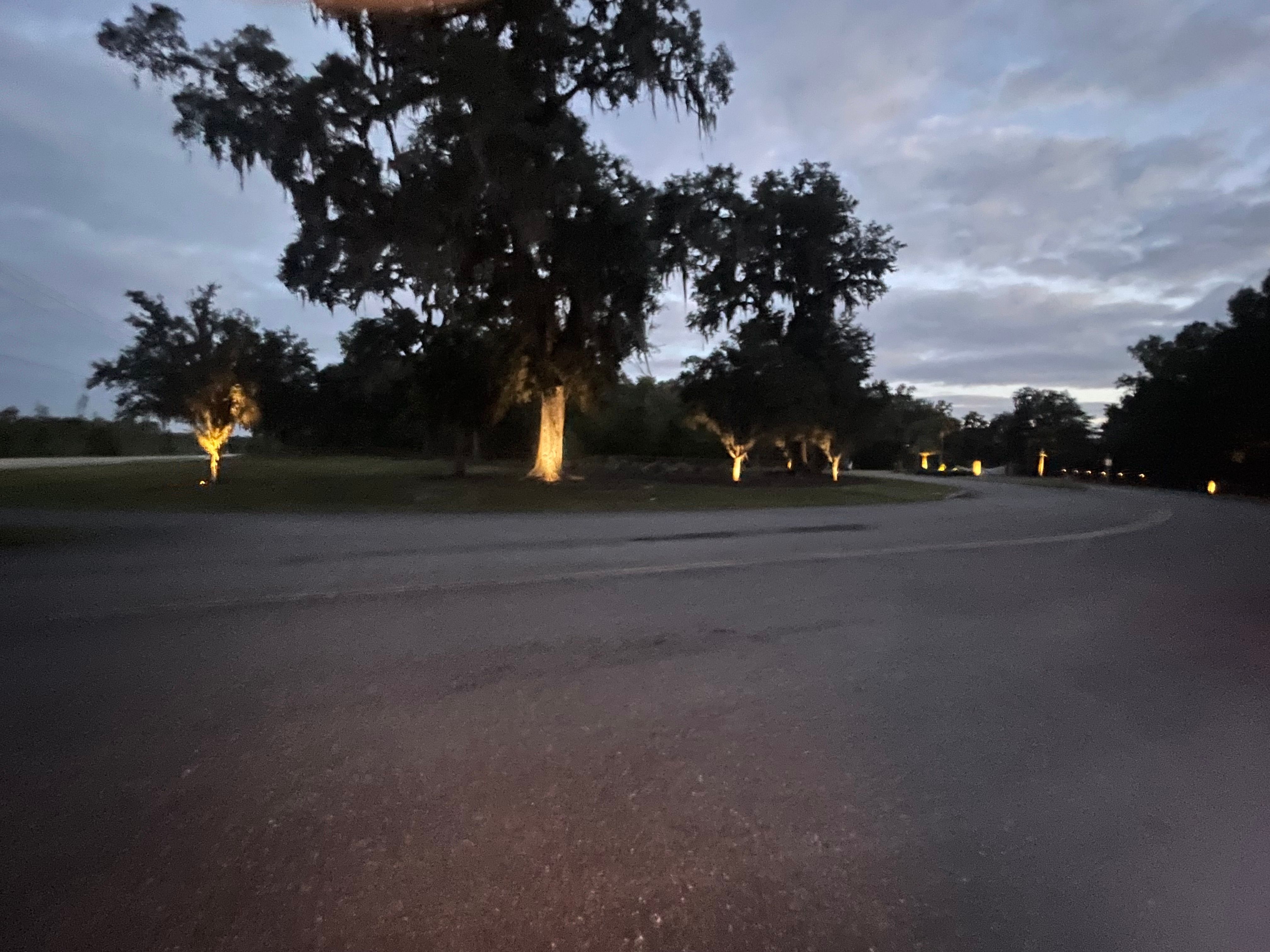  for Golden Isles Greenery in Brunswick, GA