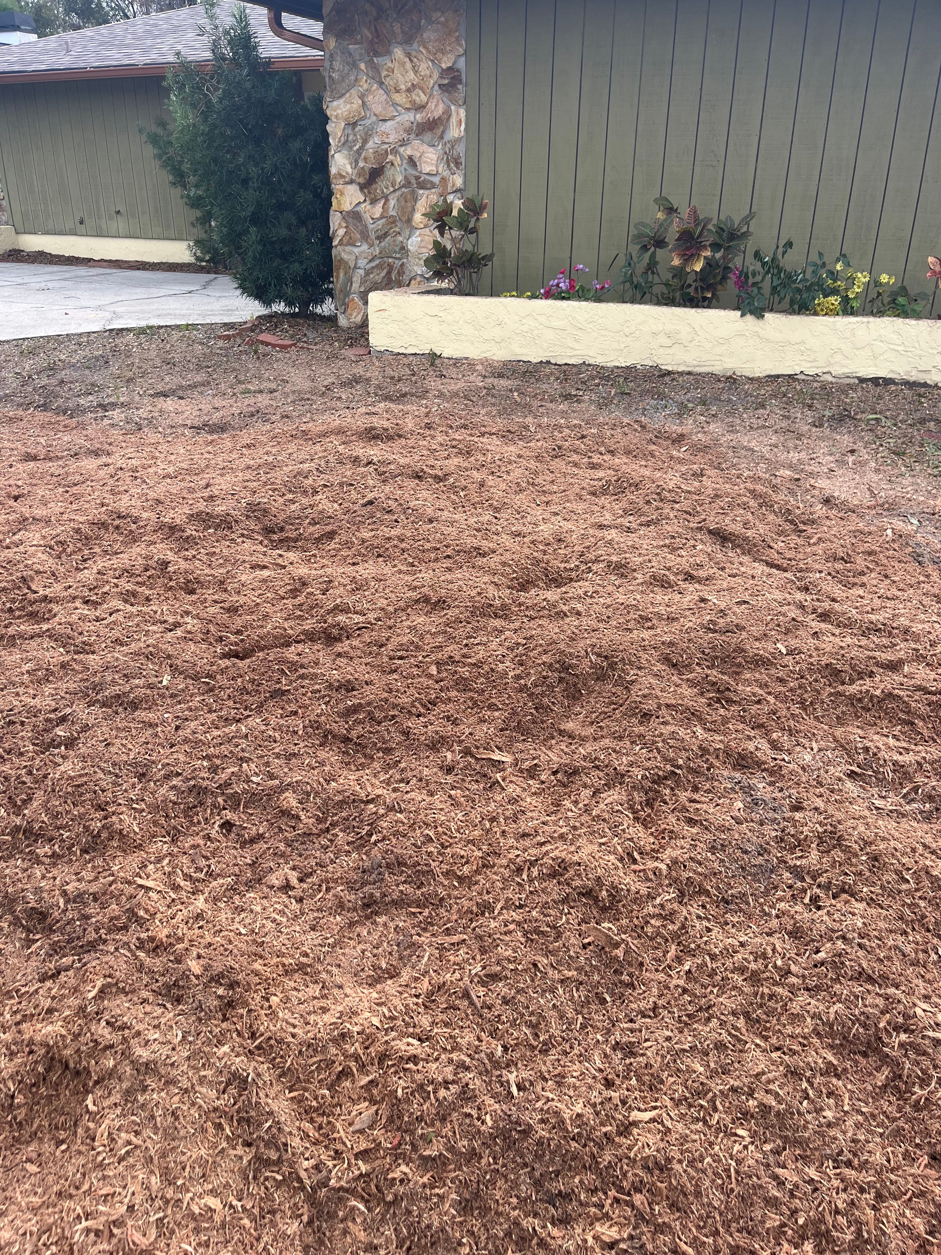  for KB’s Stump Removal in Seminole, FL