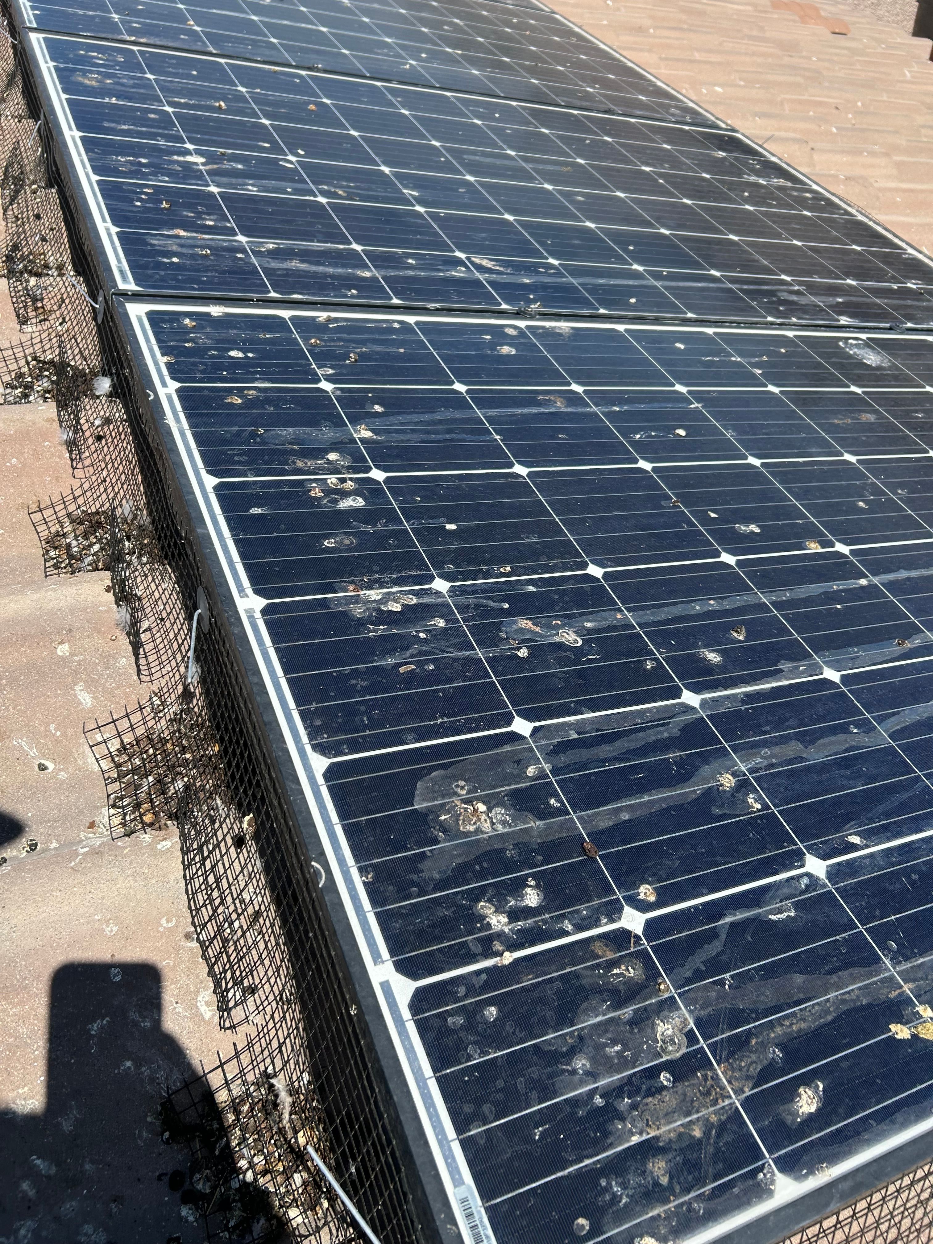  for Olson & Sons Contracting in Mesa, AZ