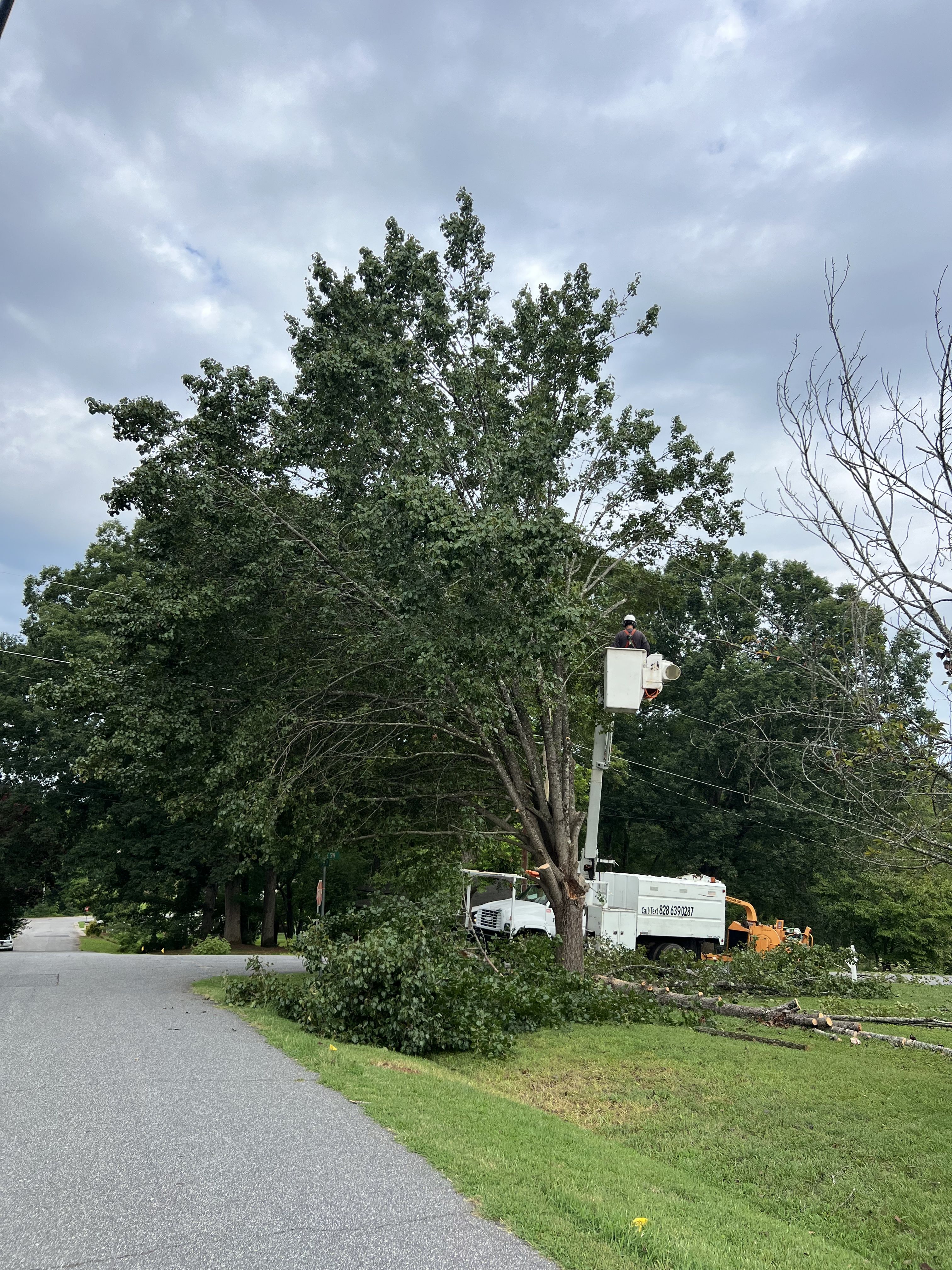  for Platinum Outdoor Services LLC in Conover, NC