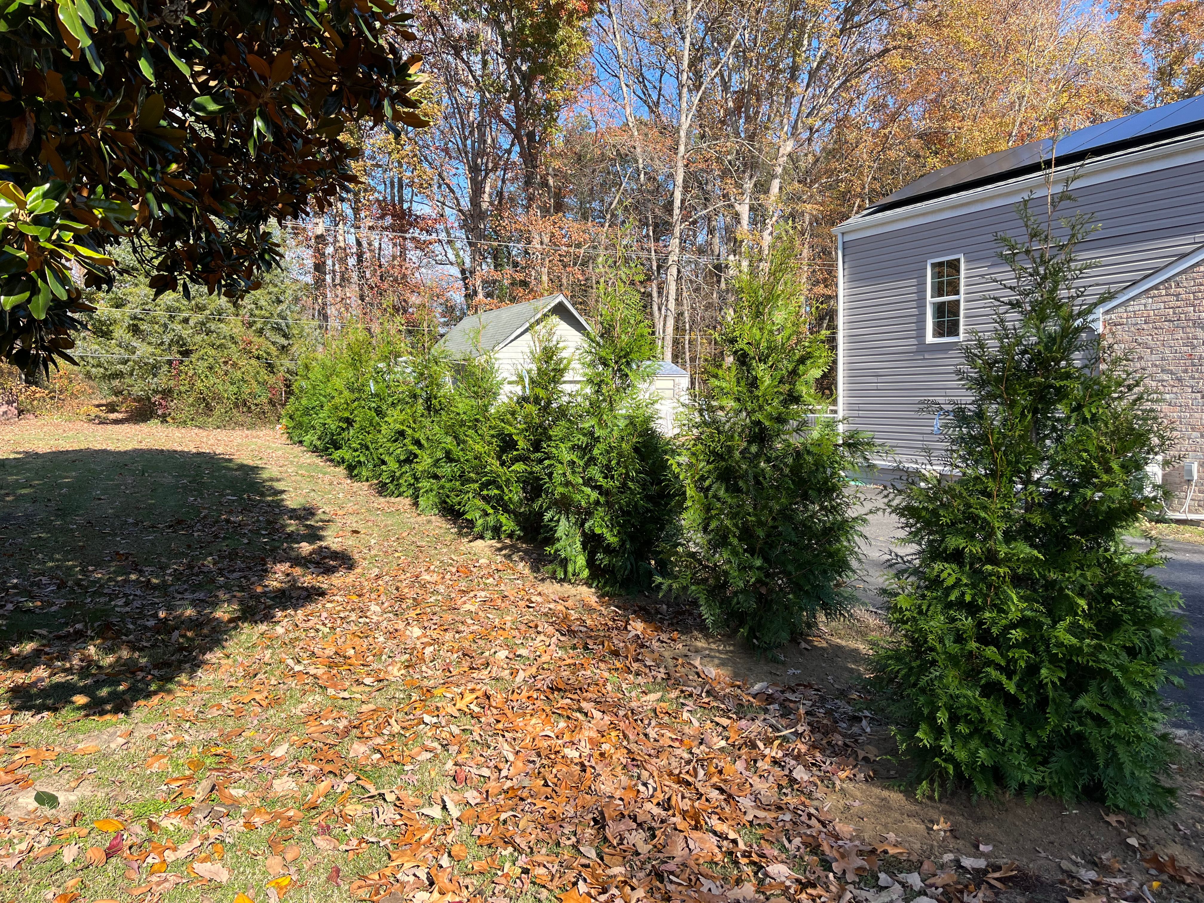  for Atlas Home Services in Mechanicsville, VA