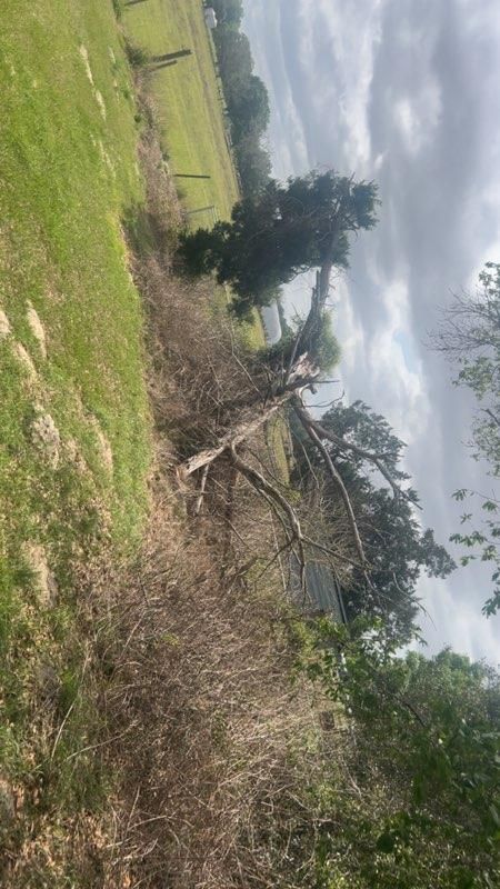  for All Seasons Tree and Land Works in Trenton, FL