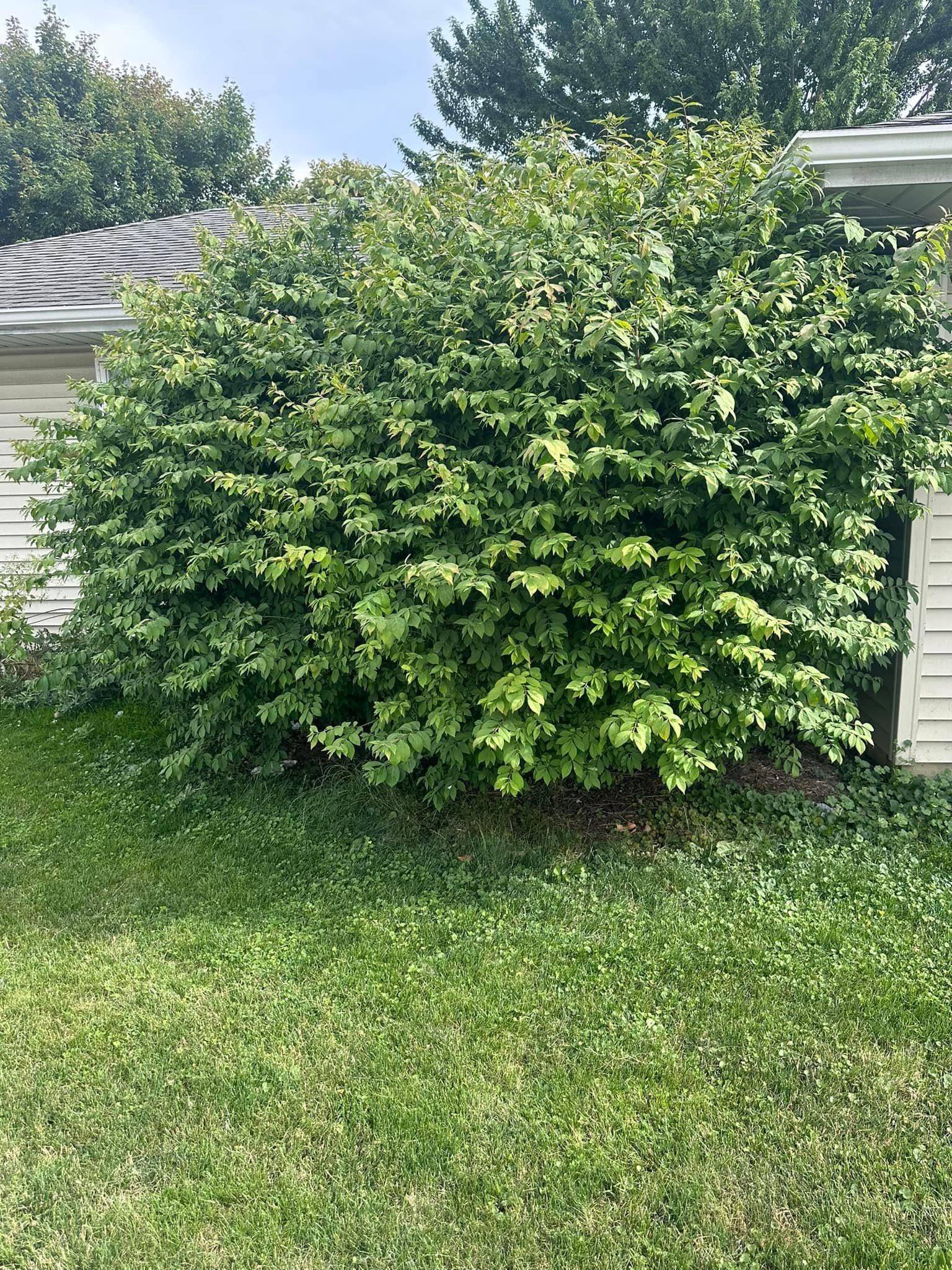  for OT Lawn and Landscaping LLC in Carey, OH