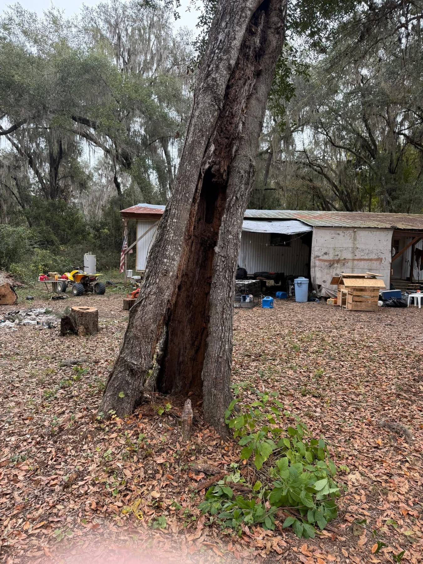  for All Around Guys Tree Service in Ocala, FL