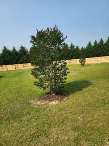 All Photos for One Source Contracting Services in Goldsboro, NC
