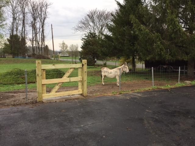 All Photos for Wantage Fence & Stonework, LLC in Wantage, New Jersey