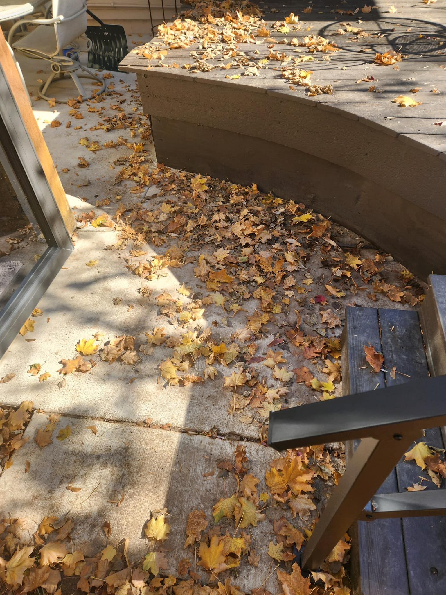 All Photos for Manscaped Lawn Care in Firestone, CO