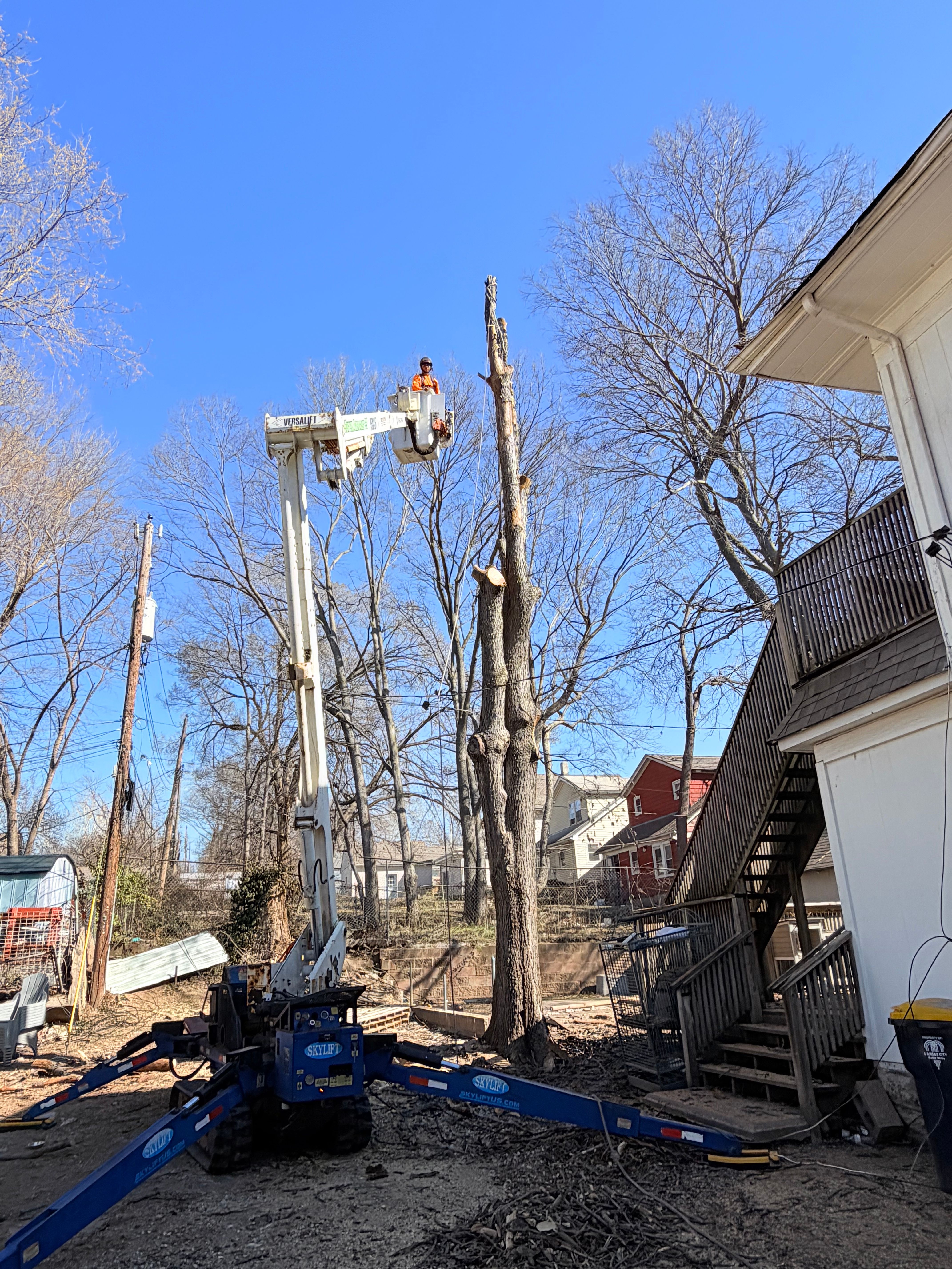 All Photos for Cross Family Tree Service in Kearney, MO