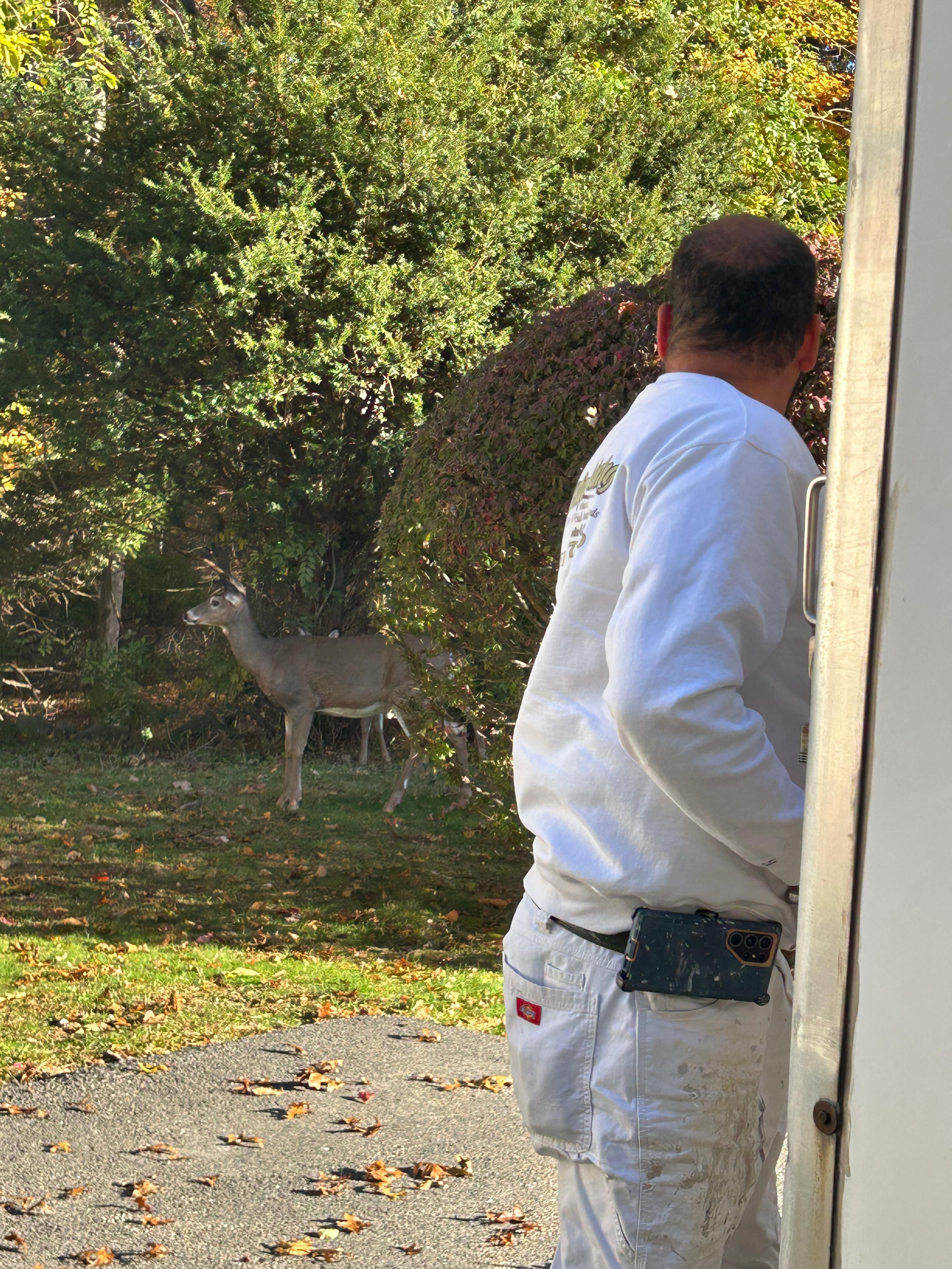  for Prestige Painting in Taunton, MA