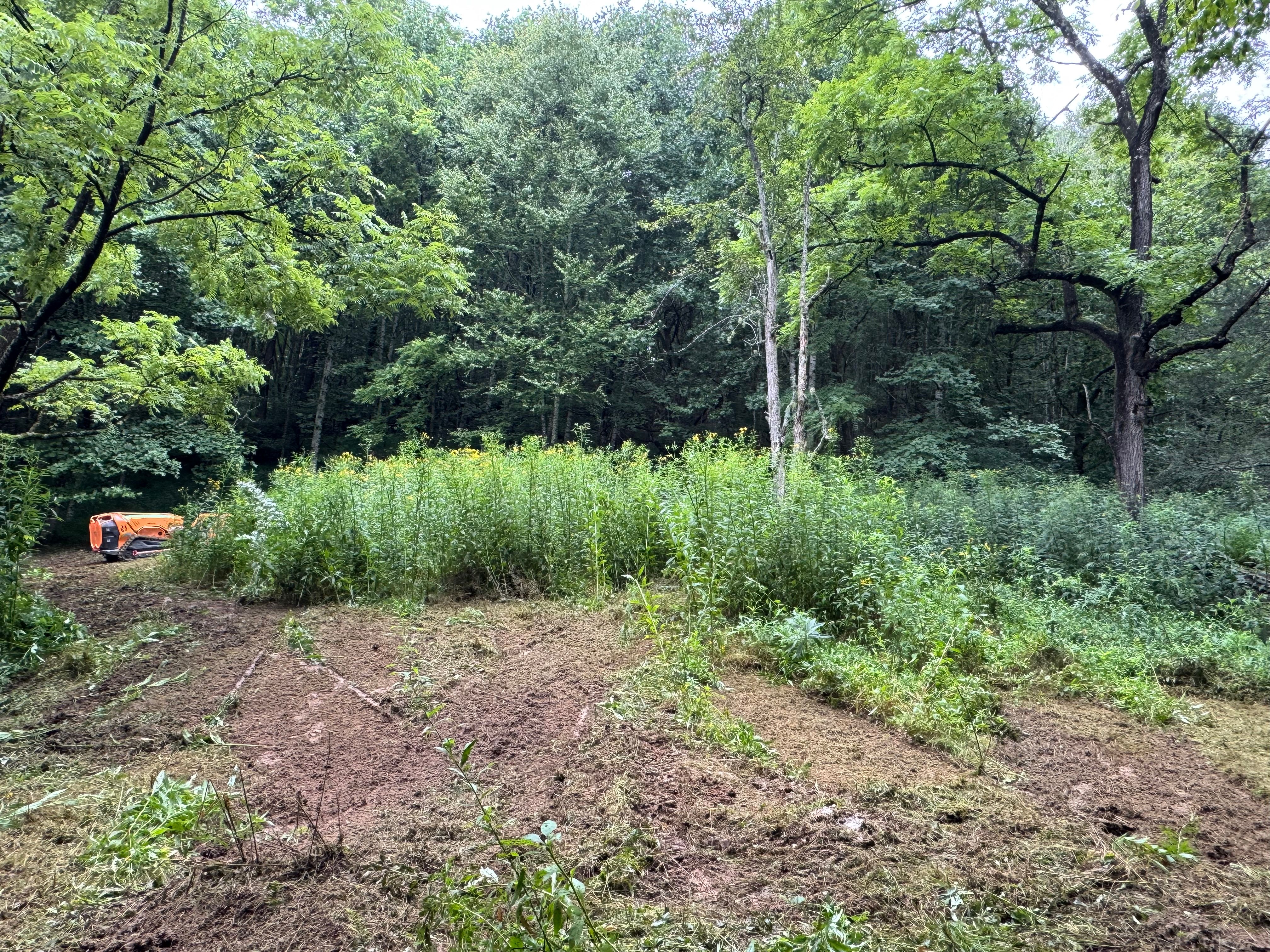  for Mountain Goat Land Management in Galax, VA