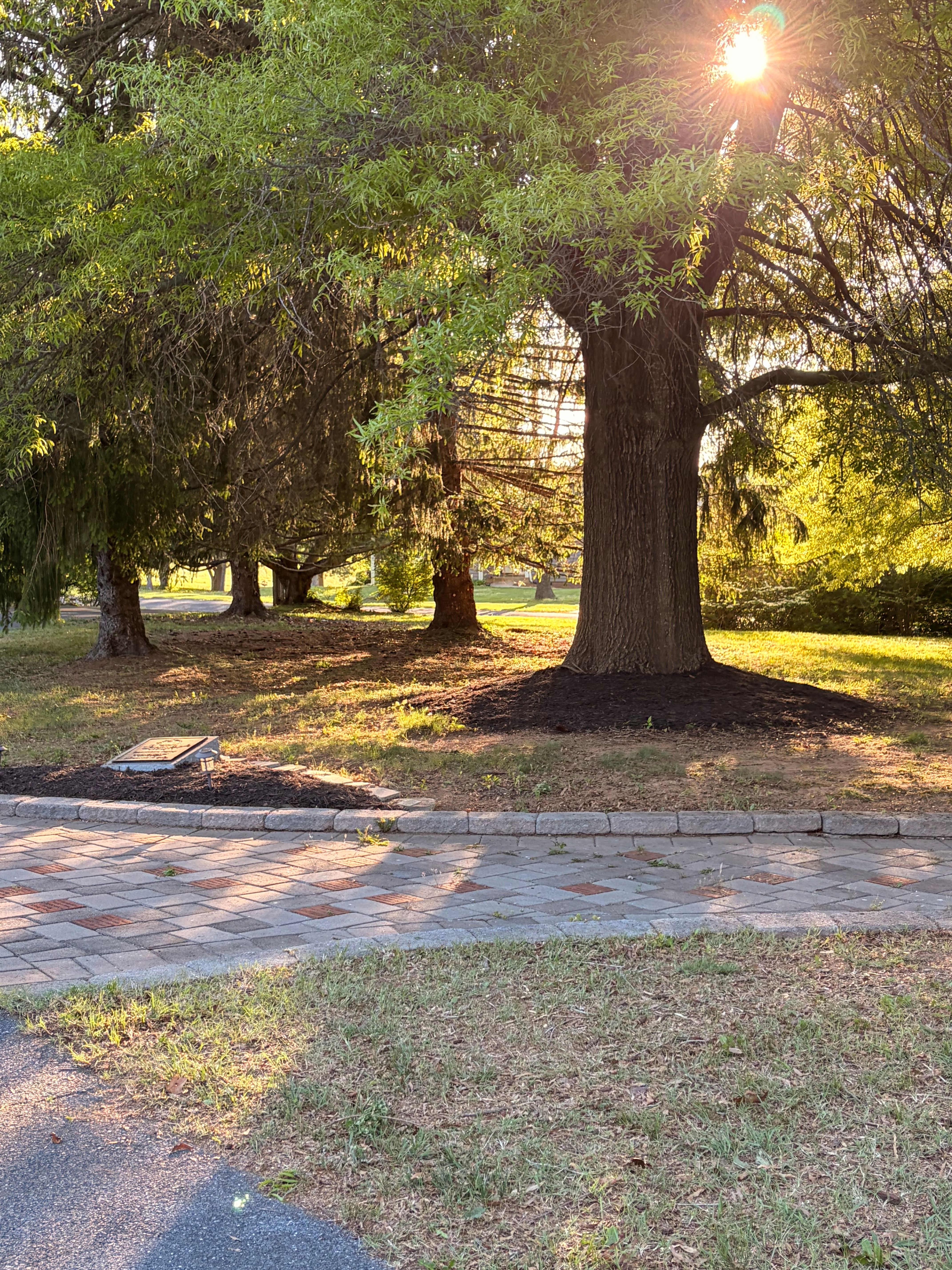  for Valencia’s Lawncare in Charlottesville, VA