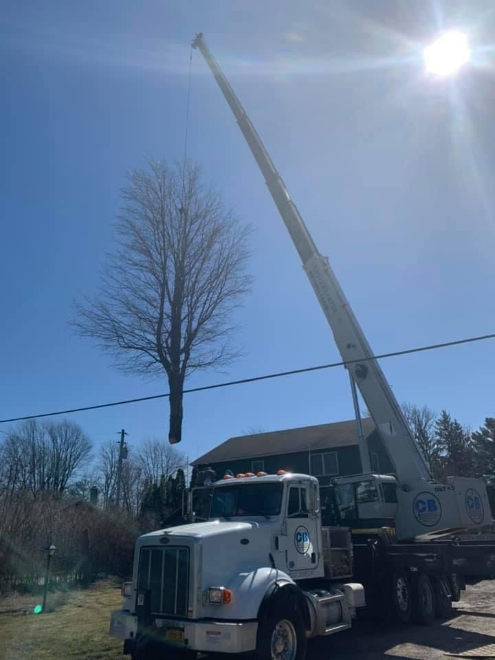  for S.H. Tree Service LLC in Hilton, NY