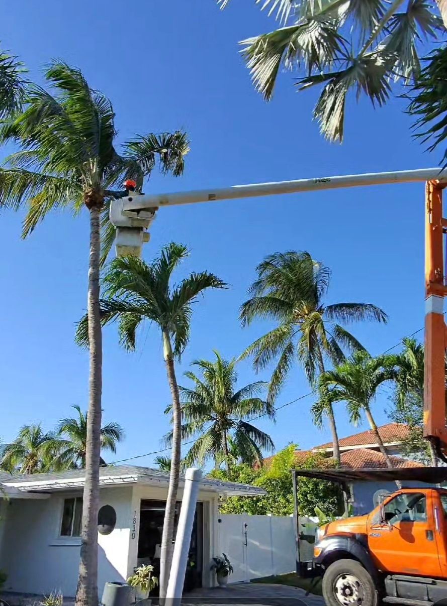  for Bridgewater Arbor Care LLC in Jupiter, FL