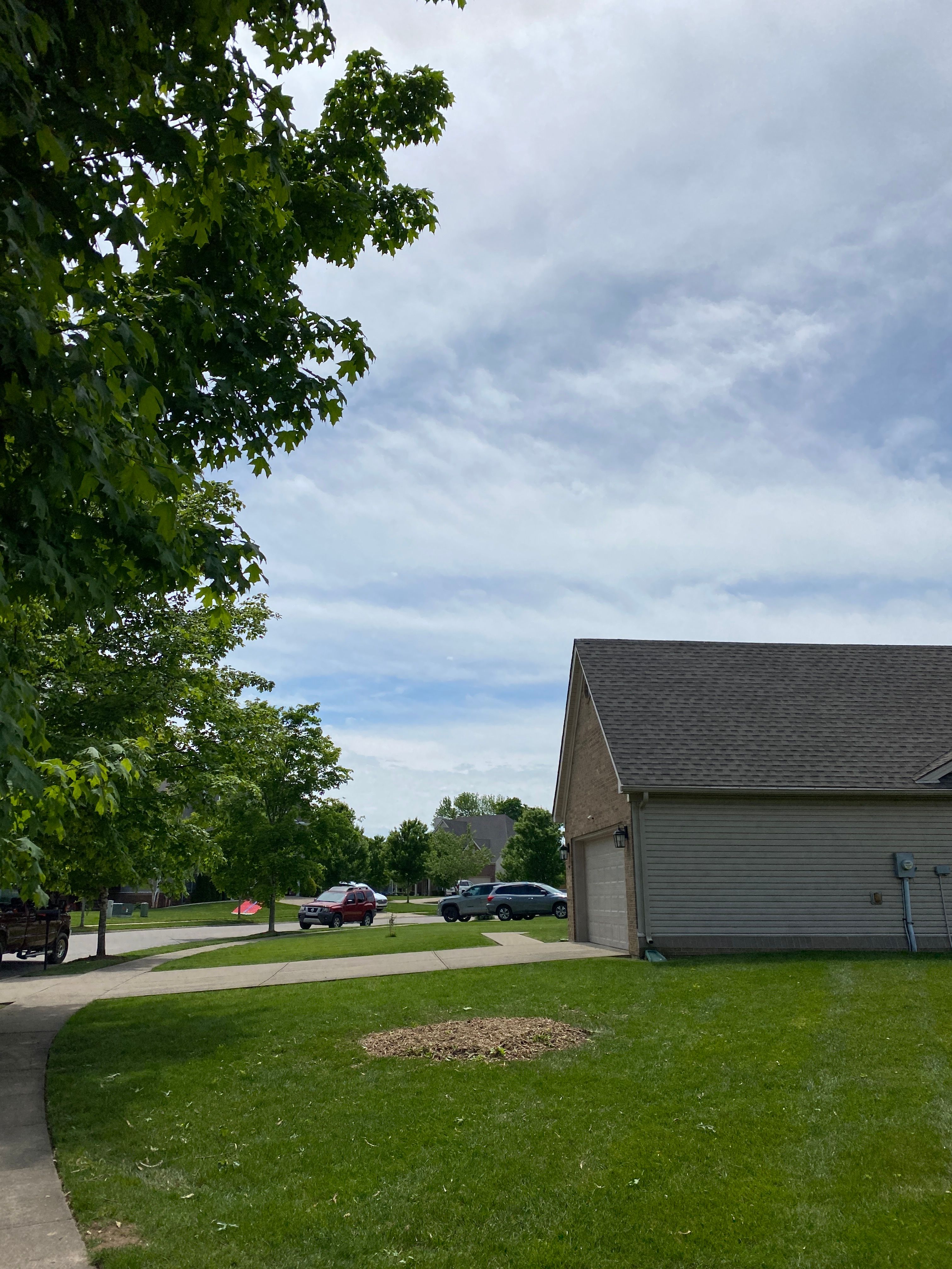 All Photos for Houtz Tree Service in Lexington, KY